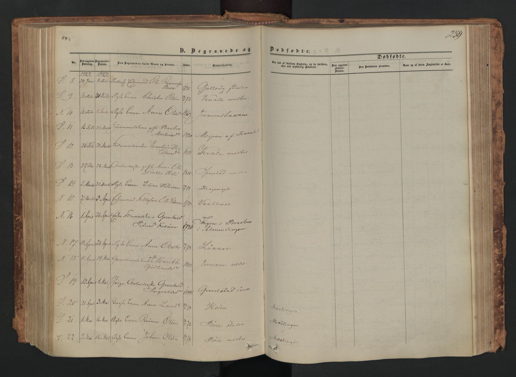 Skjåk prestekontor, SAH/PREST-072/H/Ha/Haa/L0001: Parish register (official) no. 1, 1863-1879, p. 259