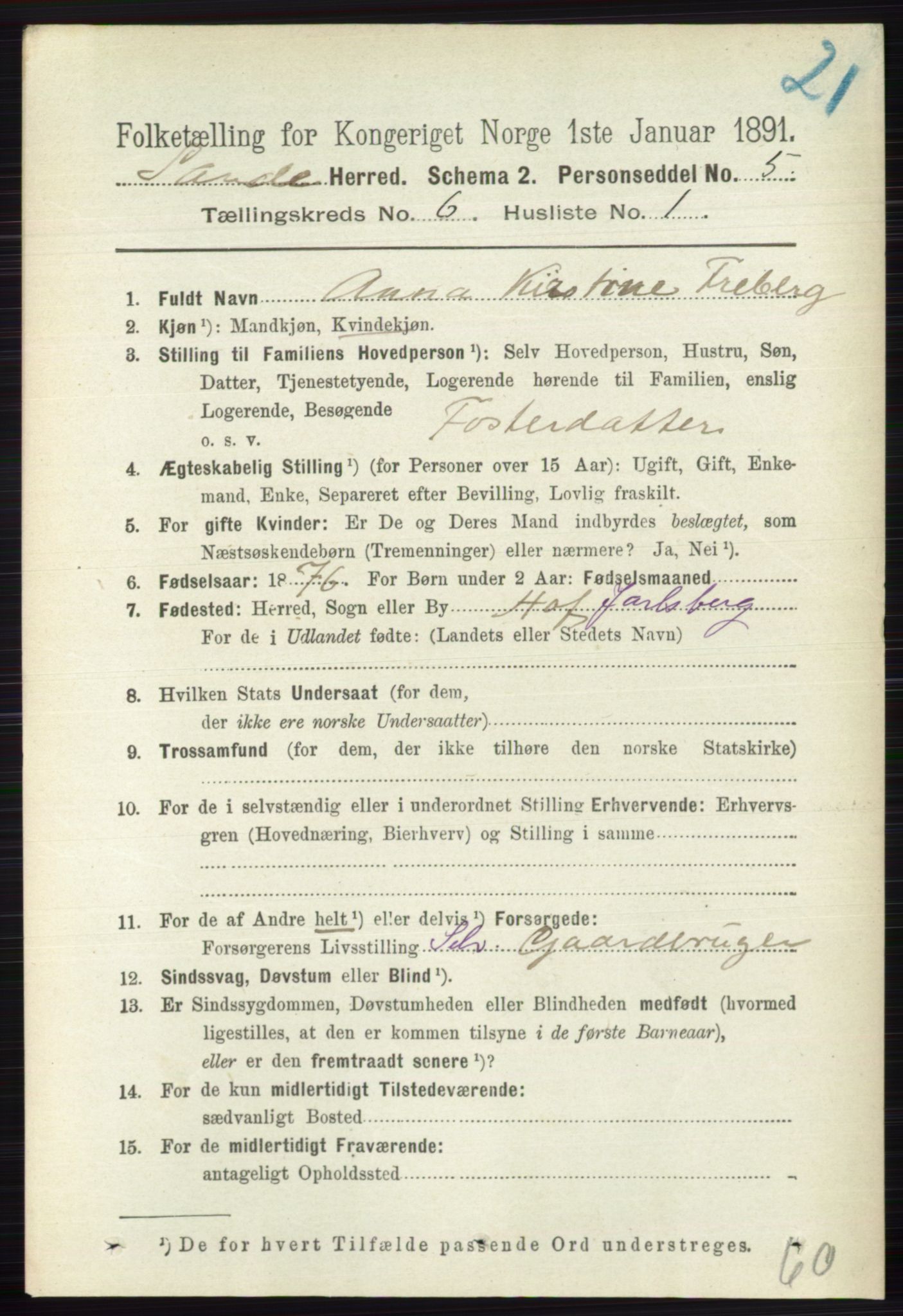 RA, 1891 census for 0713 Sande, 1891, p. 2690