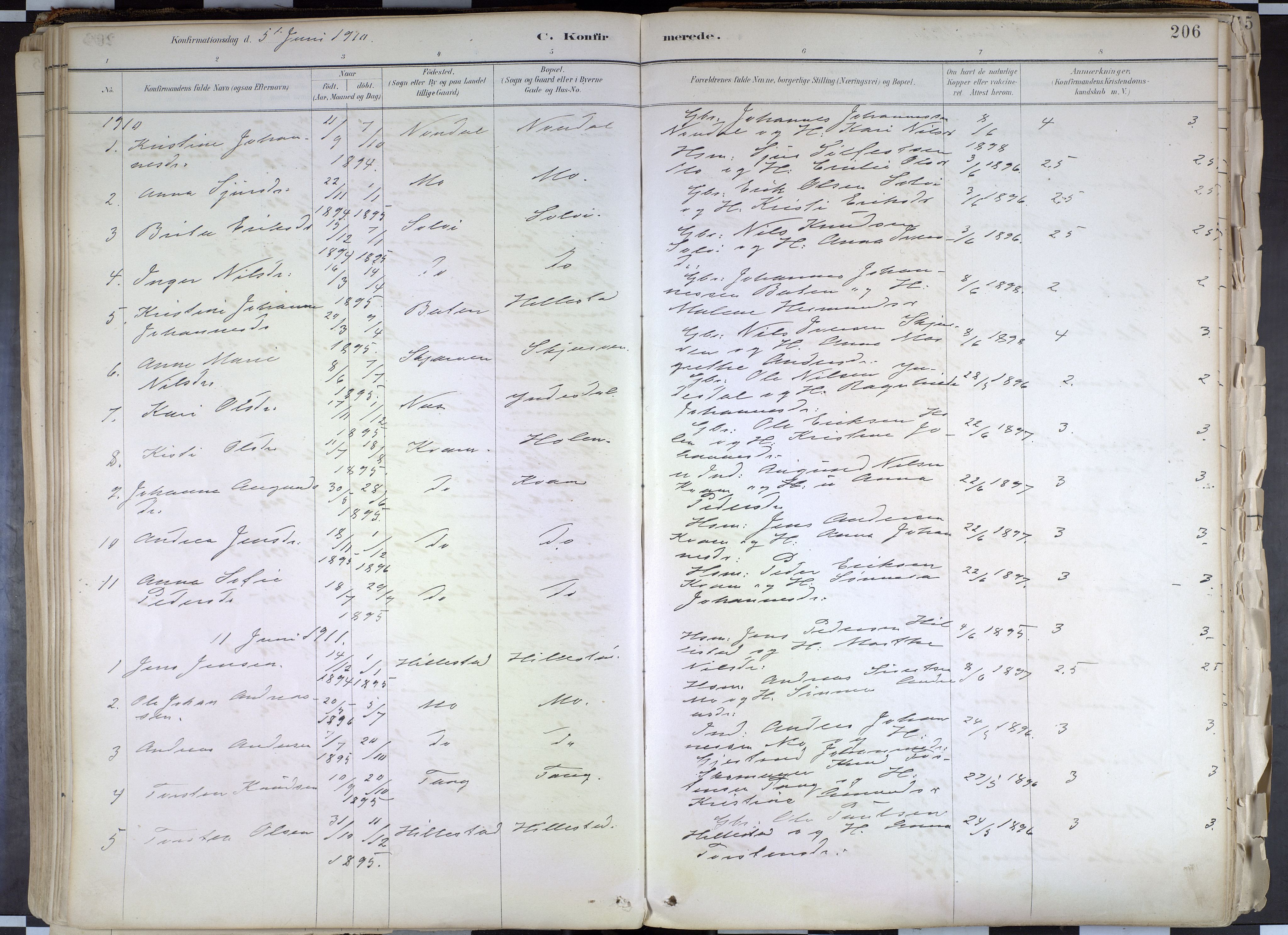 Hafslo sokneprestembete, SAB/A-80301/H/Haa/Haab/L0001: Parish register (official) no. B 1, 1886-1945, p. 206