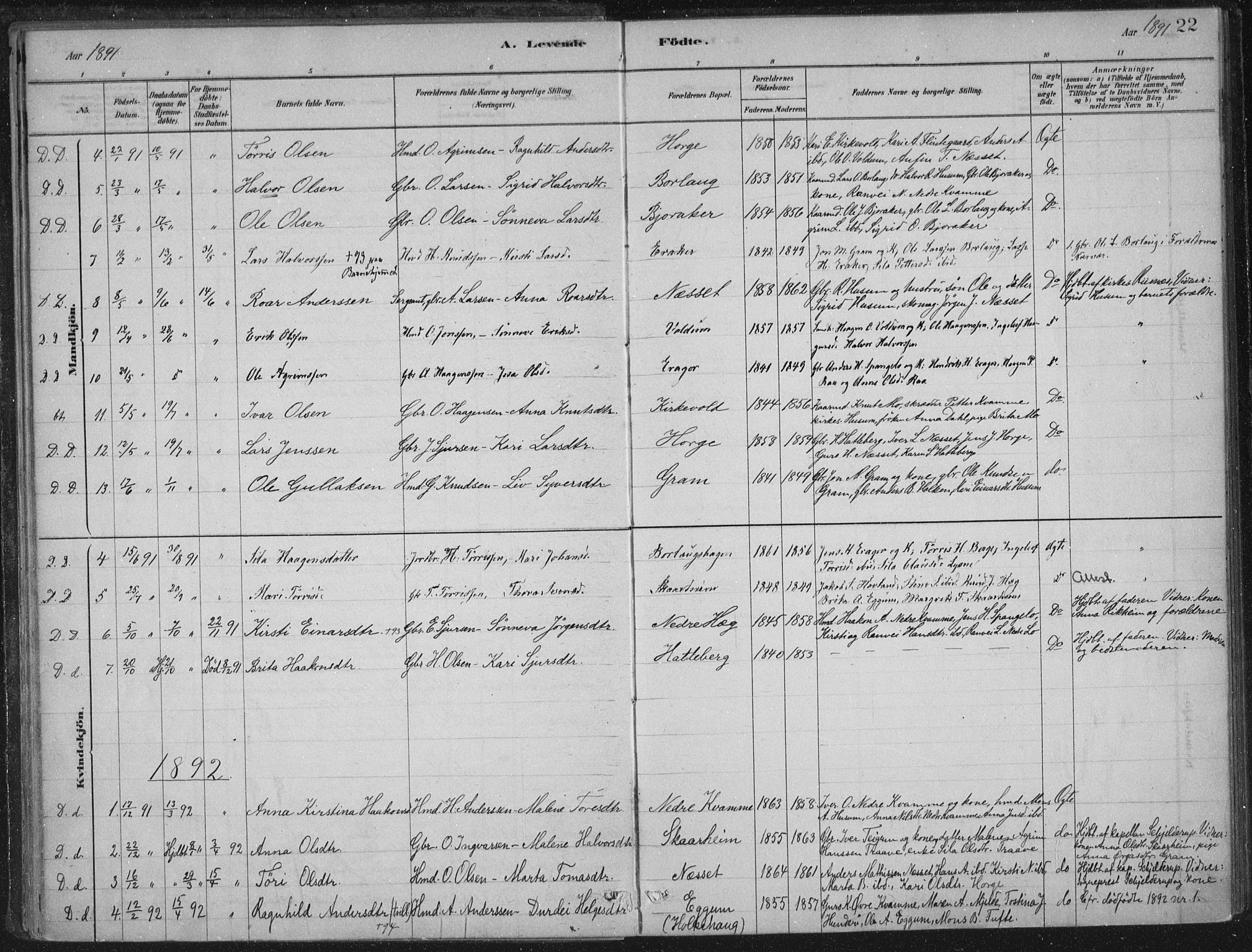 Lærdal sokneprestembete, SAB/A-81201: Parish register (official) no. C  1, 1878-1911, p. 22
