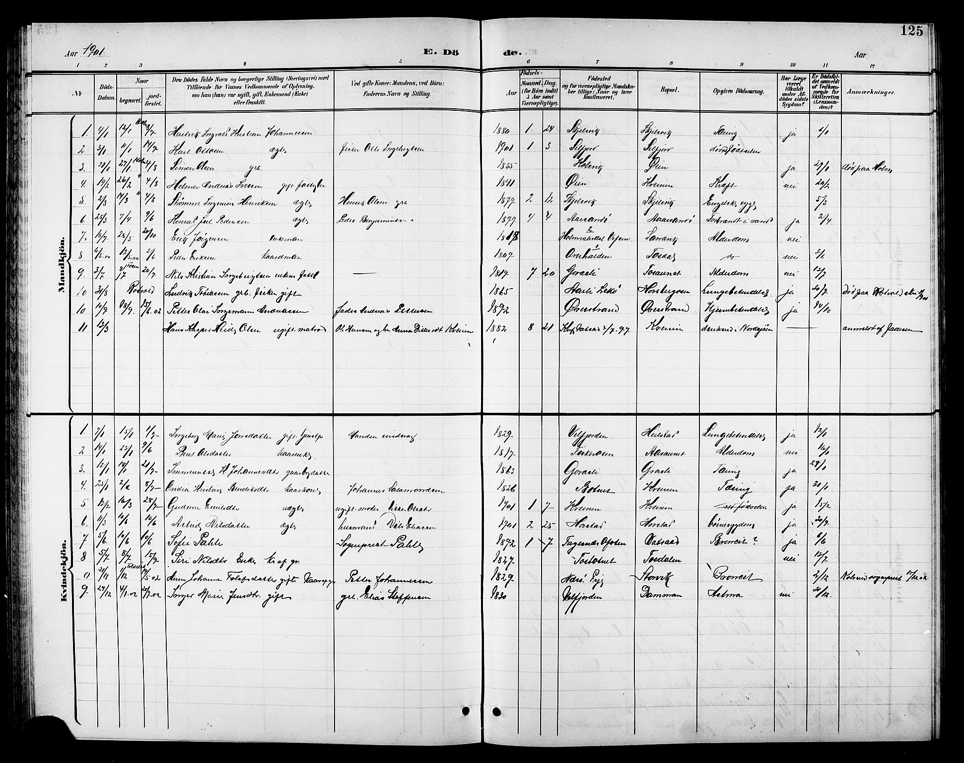 Ministerialprotokoller, klokkerbøker og fødselsregistre - Nordland, SAT/A-1459/810/L0161: Parish register (copy) no. 810C04, 1897-1910, p. 125
