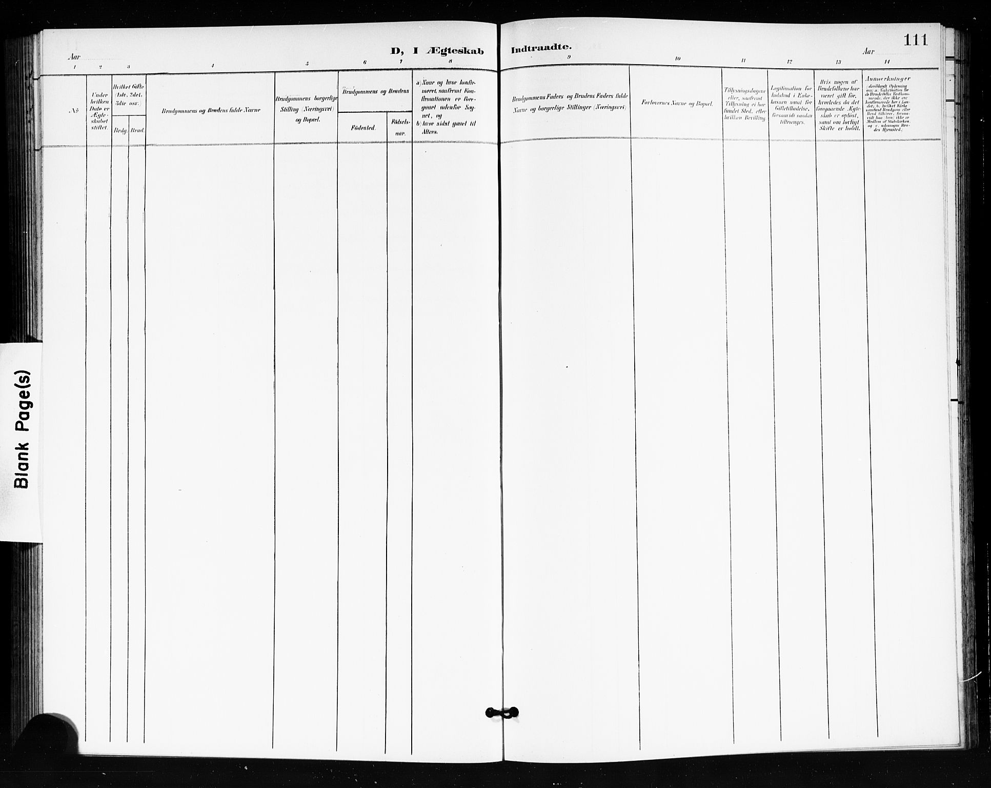 Tjøme kirkebøker, AV/SAKO-A-328/G/Ga/L0001: Parish register (copy) no. I 1, 1901-1910, p. 111