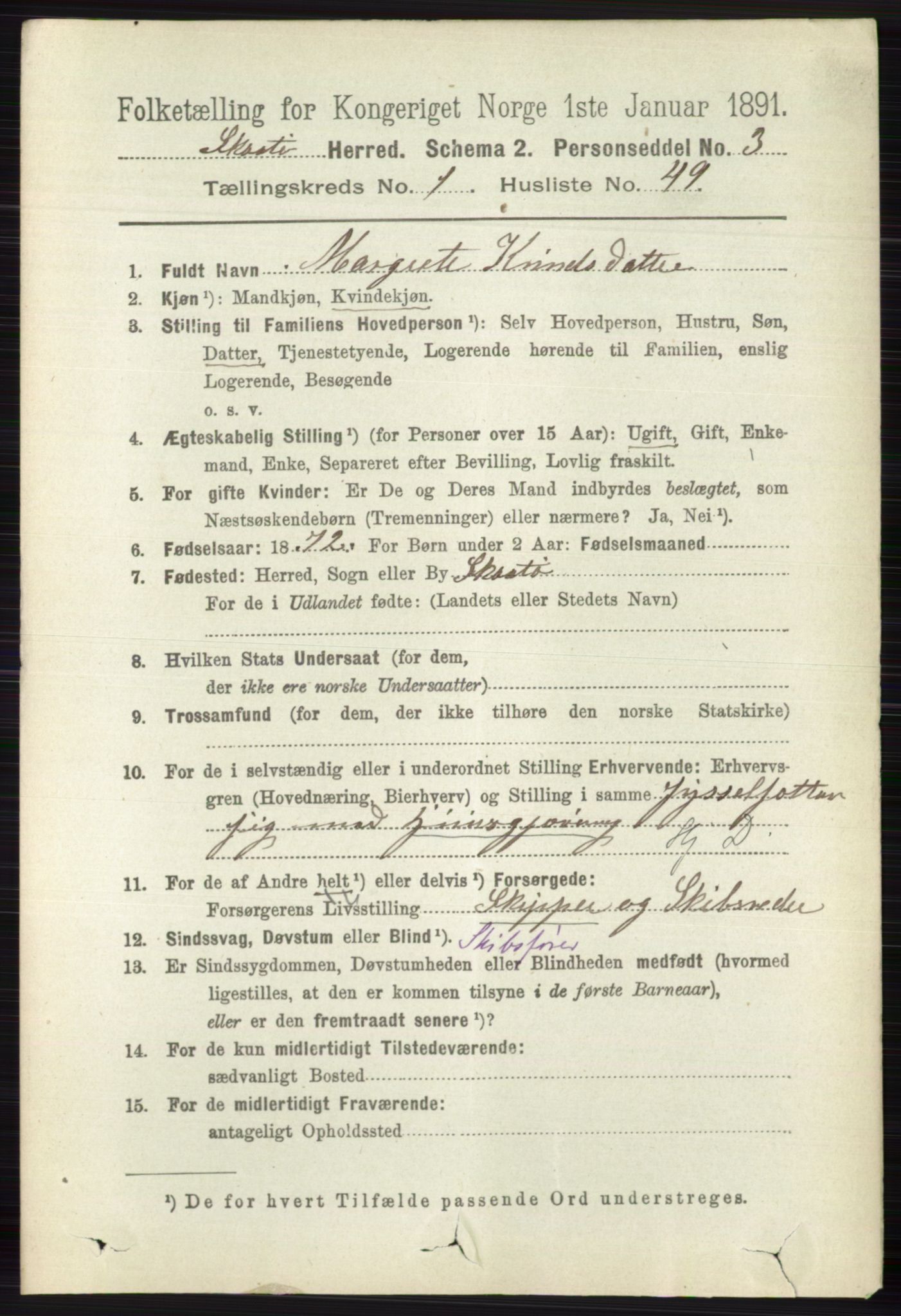 RA, 1891 census for 0815 Skåtøy, 1891, p. 378