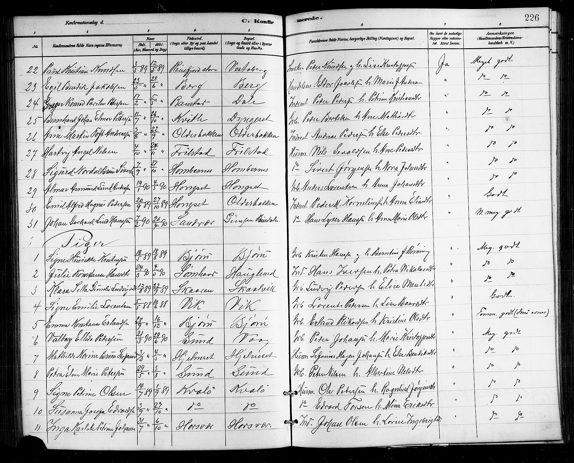 Ministerialprotokoller, klokkerbøker og fødselsregistre - Nordland, SAT/A-1459/812/L0188: Parish register (copy) no. 812C06, 1884-1912, p. 226