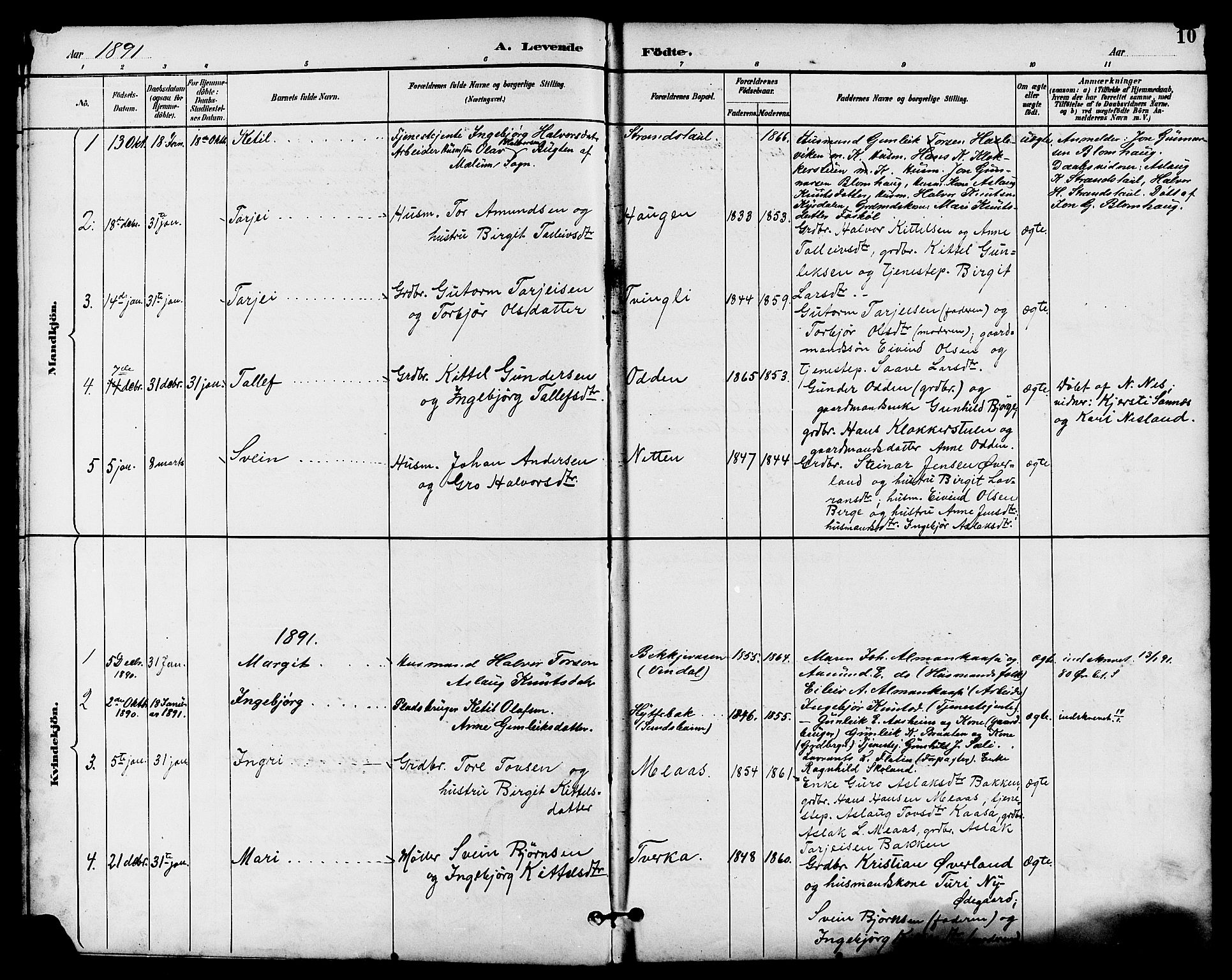 Seljord kirkebøker, AV/SAKO-A-20/G/Ga/L0005: Parish register (copy) no. I 5, 1887-1914, p. 10