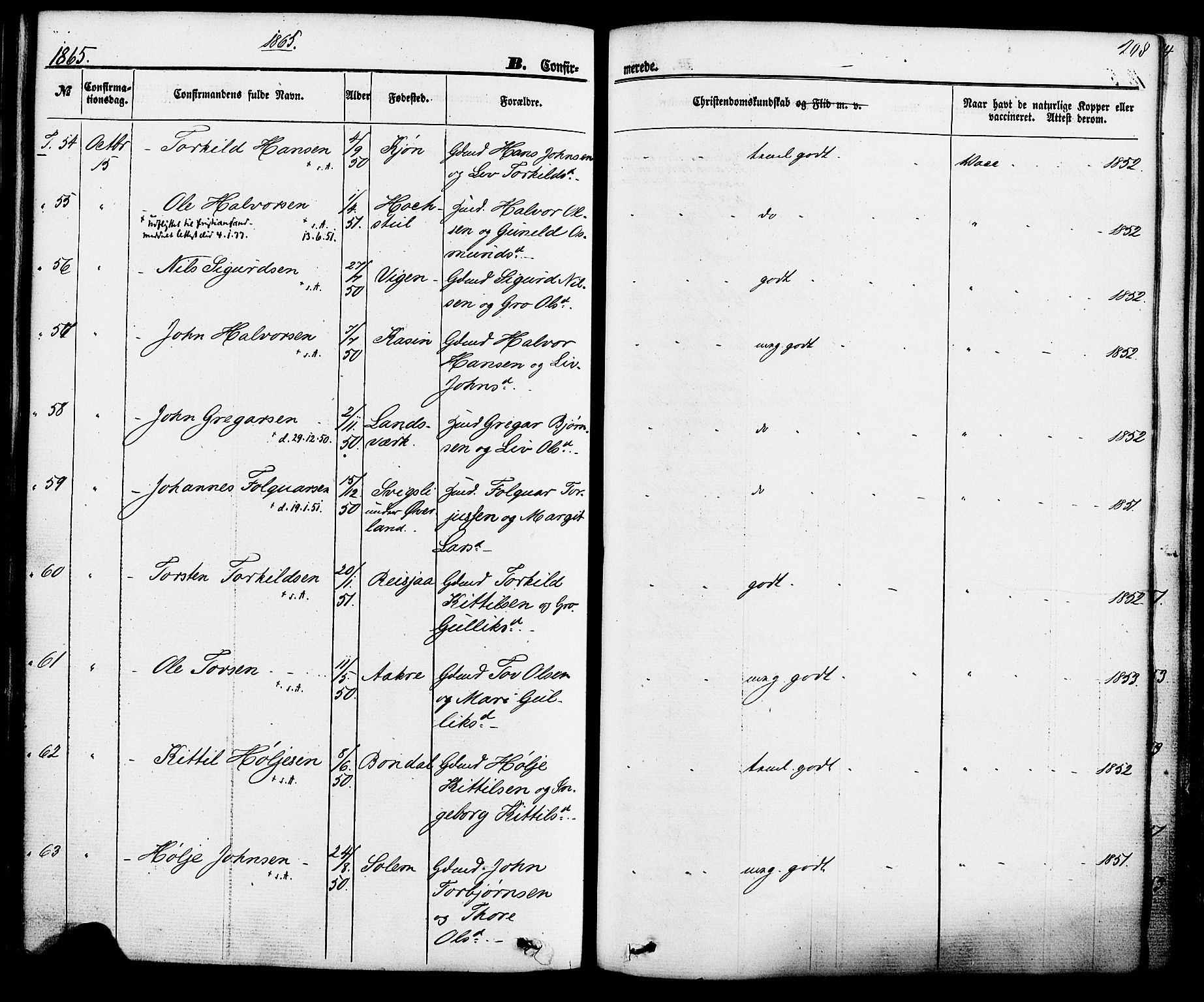 Hjartdal kirkebøker, SAKO/A-270/F/Fa/L0009: Parish register (official) no. I 9, 1860-1879, p. 208