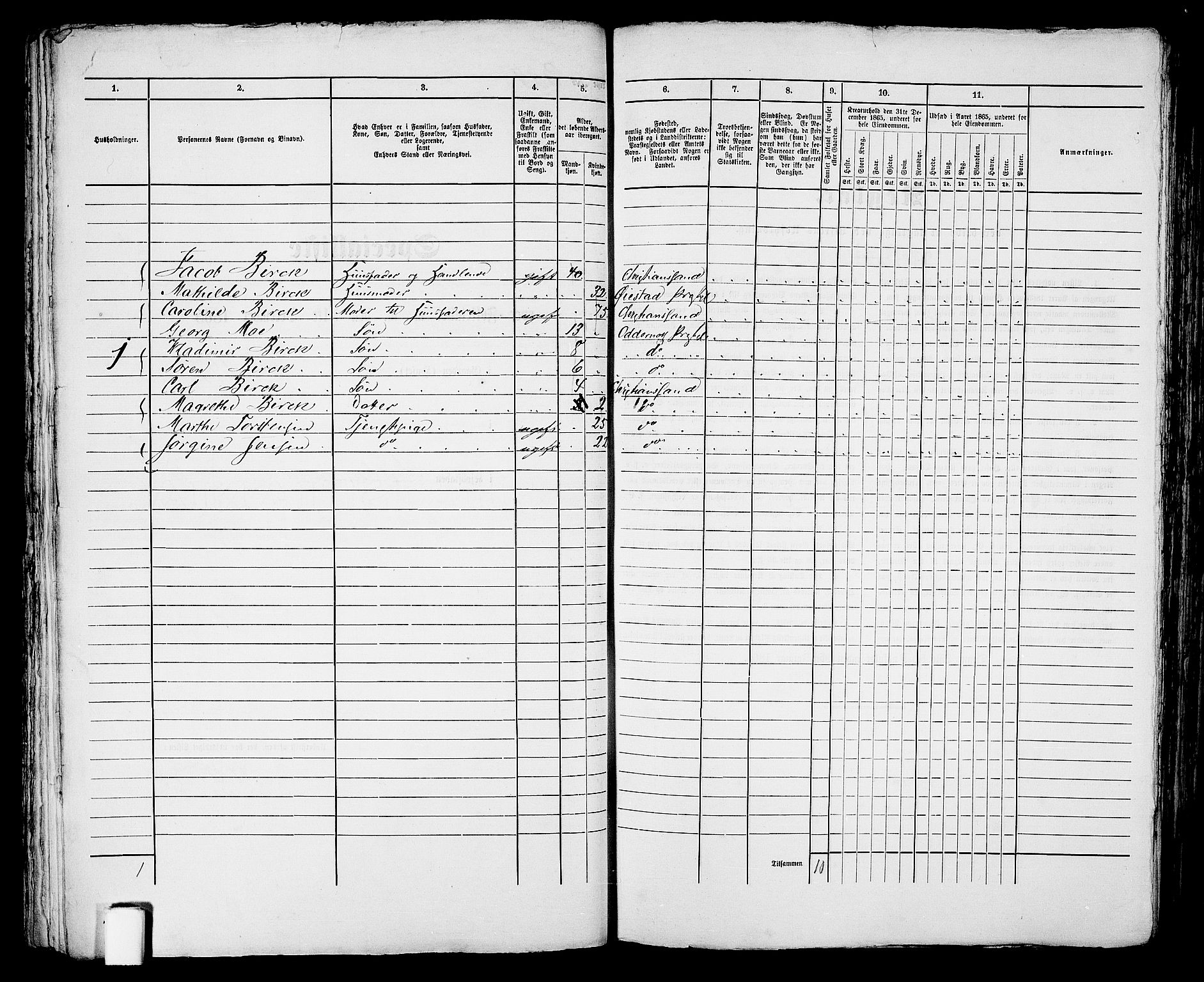 RA, 1865 census for Kristiansand, 1865, p. 631