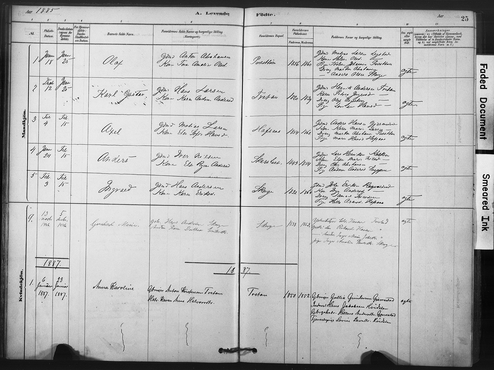 Andebu kirkebøker, AV/SAKO-A-336/F/Fa/L0008: Parish register (official) no. 8, 1878-1902, p. 25