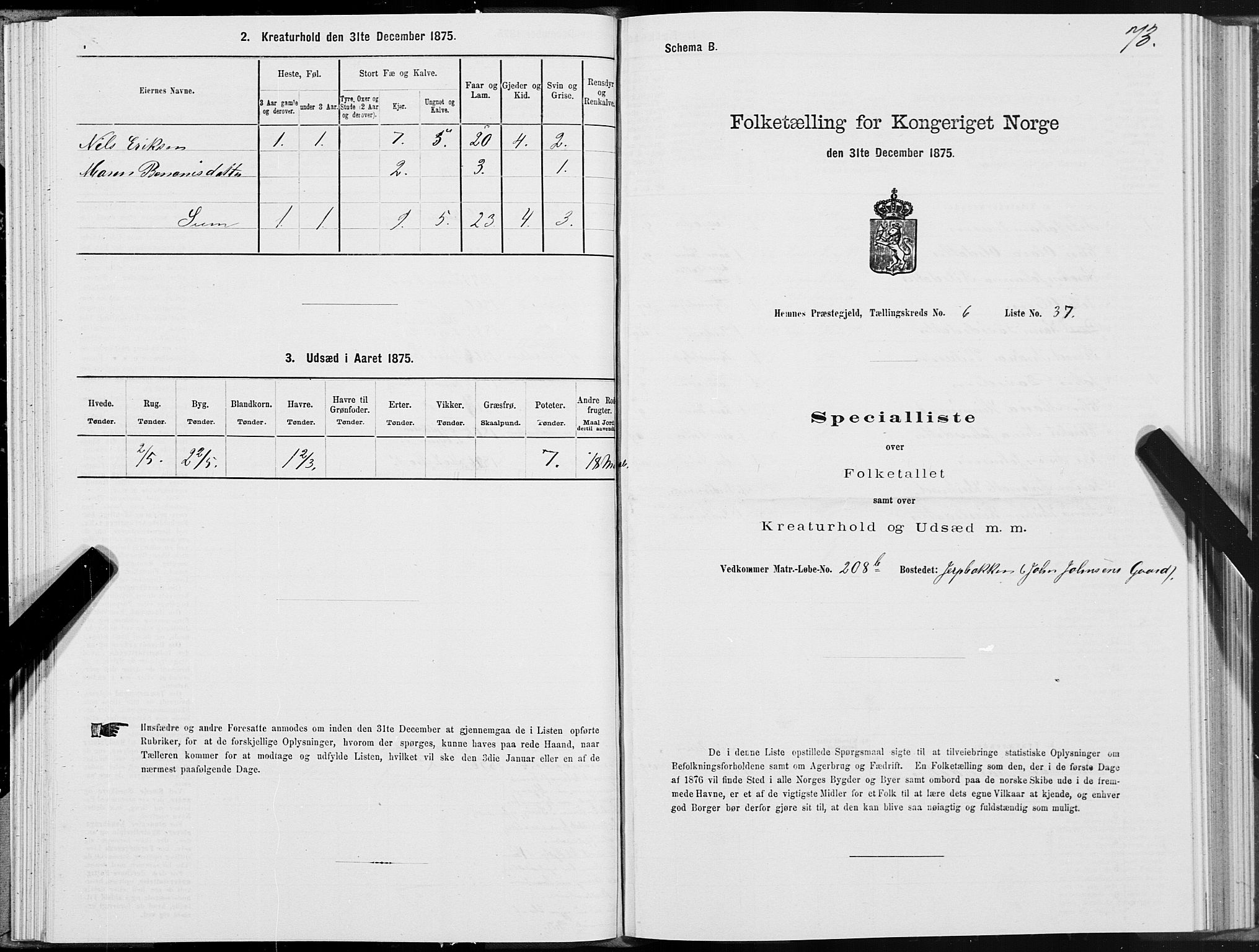 SAT, 1875 census for 1832P Hemnes, 1875, p. 4073