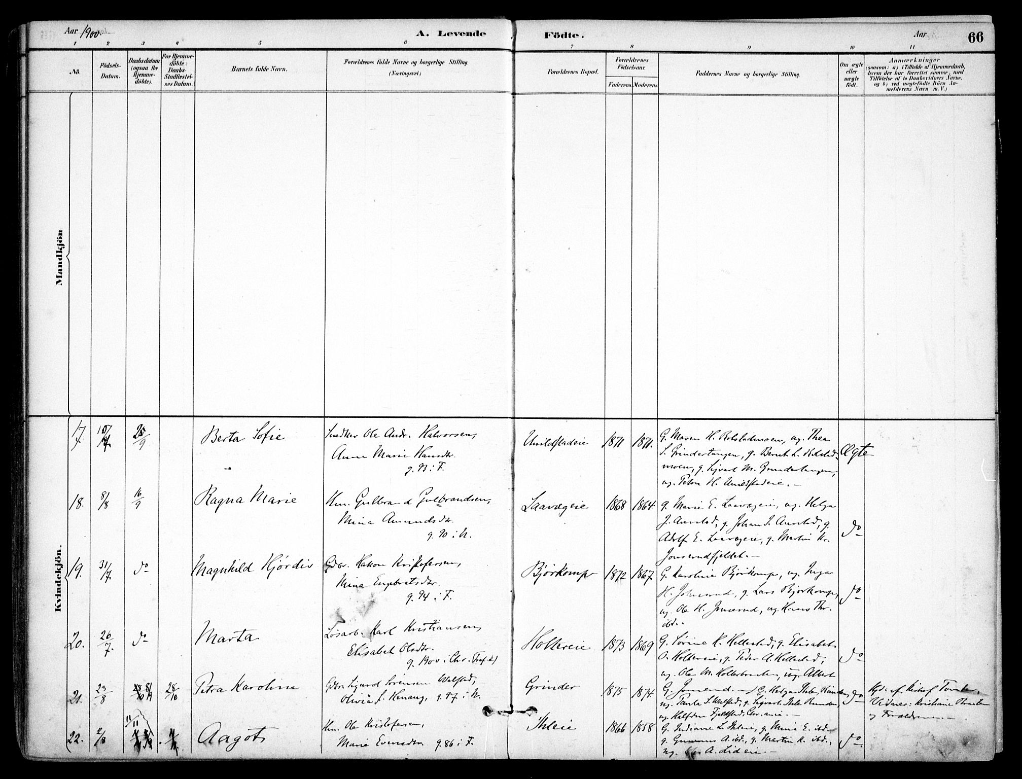 Nes prestekontor Kirkebøker, AV/SAO-A-10410/F/Fb/L0002: Parish register (official) no. II 2, 1883-1918, p. 66