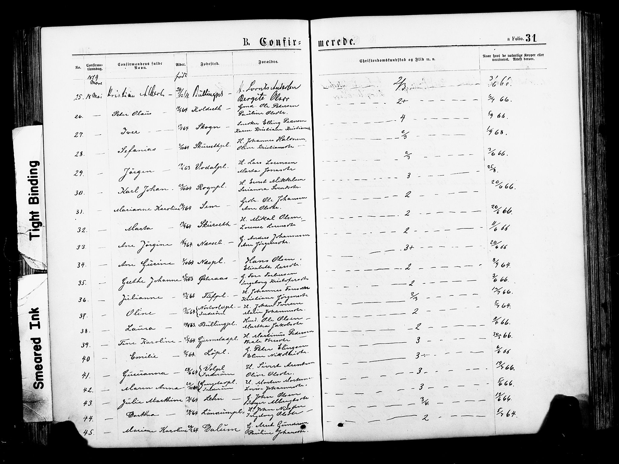 Ministerialprotokoller, klokkerbøker og fødselsregistre - Nord-Trøndelag, SAT/A-1458/735/L0348: Parish register (official) no. 735A09 /1, 1873-1883, p. 31