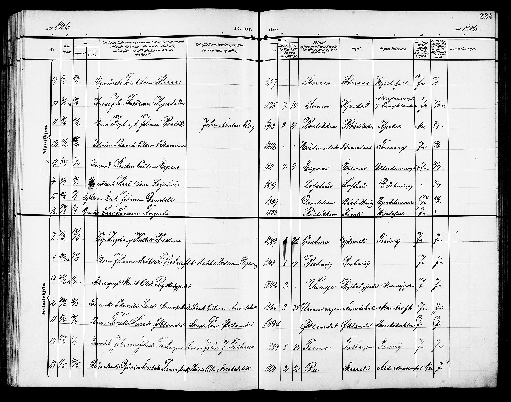 Ministerialprotokoller, klokkerbøker og fødselsregistre - Sør-Trøndelag, SAT/A-1456/672/L0864: Parish register (copy) no. 672C03, 1902-1914, p. 224