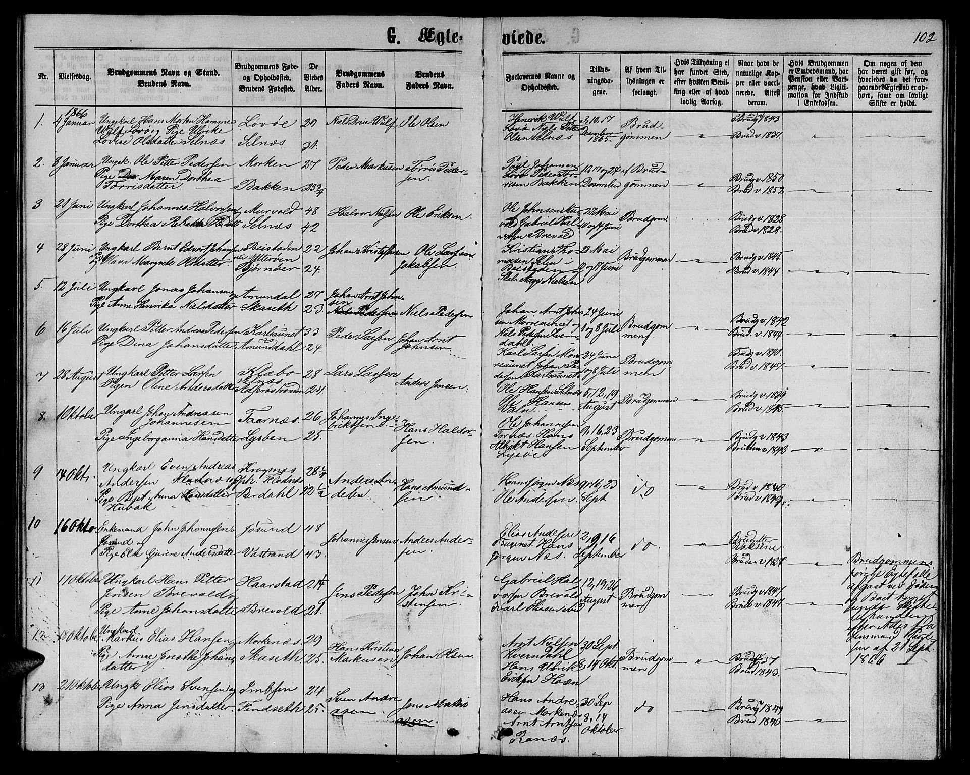 Ministerialprotokoller, klokkerbøker og fødselsregistre - Sør-Trøndelag, SAT/A-1456/655/L0686: Parish register (copy) no. 655C02, 1866-1879, p. 102