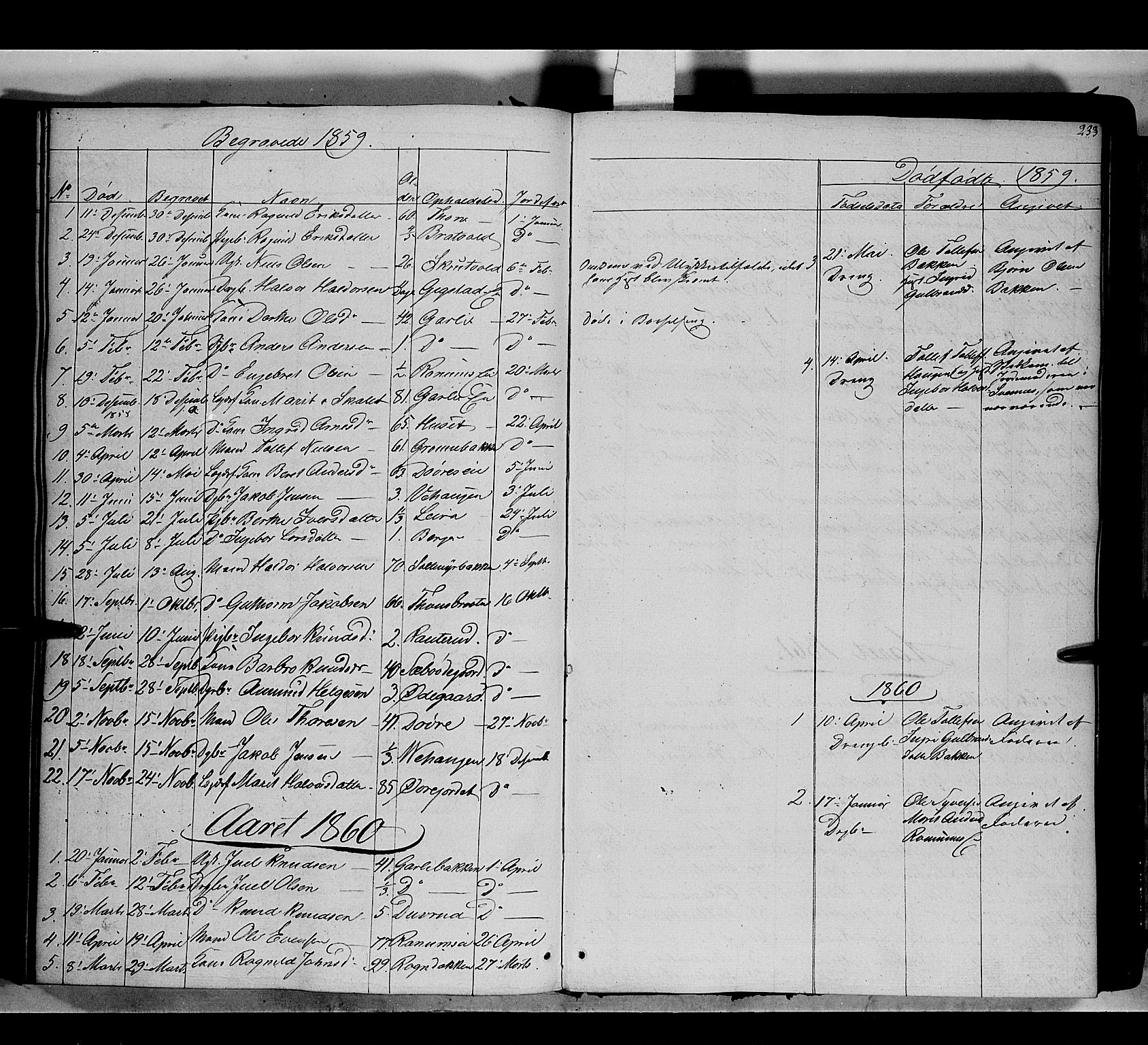 Nord-Aurdal prestekontor, SAH/PREST-132/H/Ha/Haa/L0007: Parish register (official) no. 7, 1842-1863, p. 233