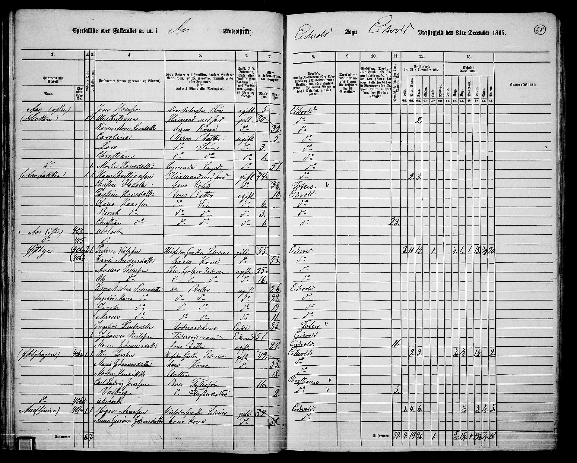 RA, 1865 census for Eidsvoll, 1865, p. 51