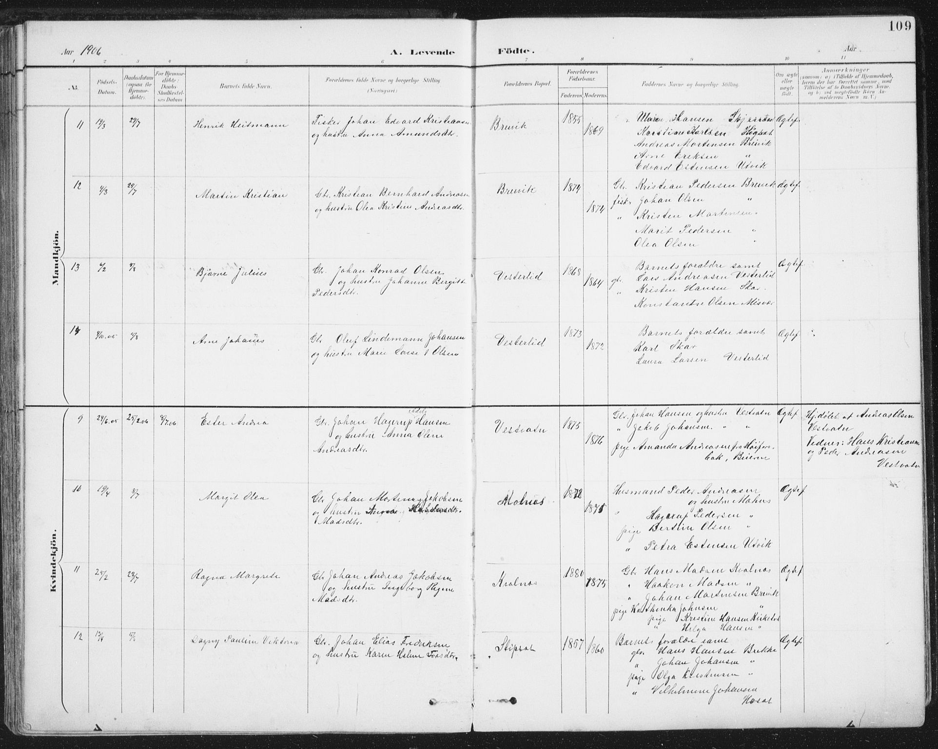 Ministerialprotokoller, klokkerbøker og fødselsregistre - Nordland, AV/SAT-A-1459/852/L0741: Parish register (official) no. 852A11, 1894-1917, p. 109