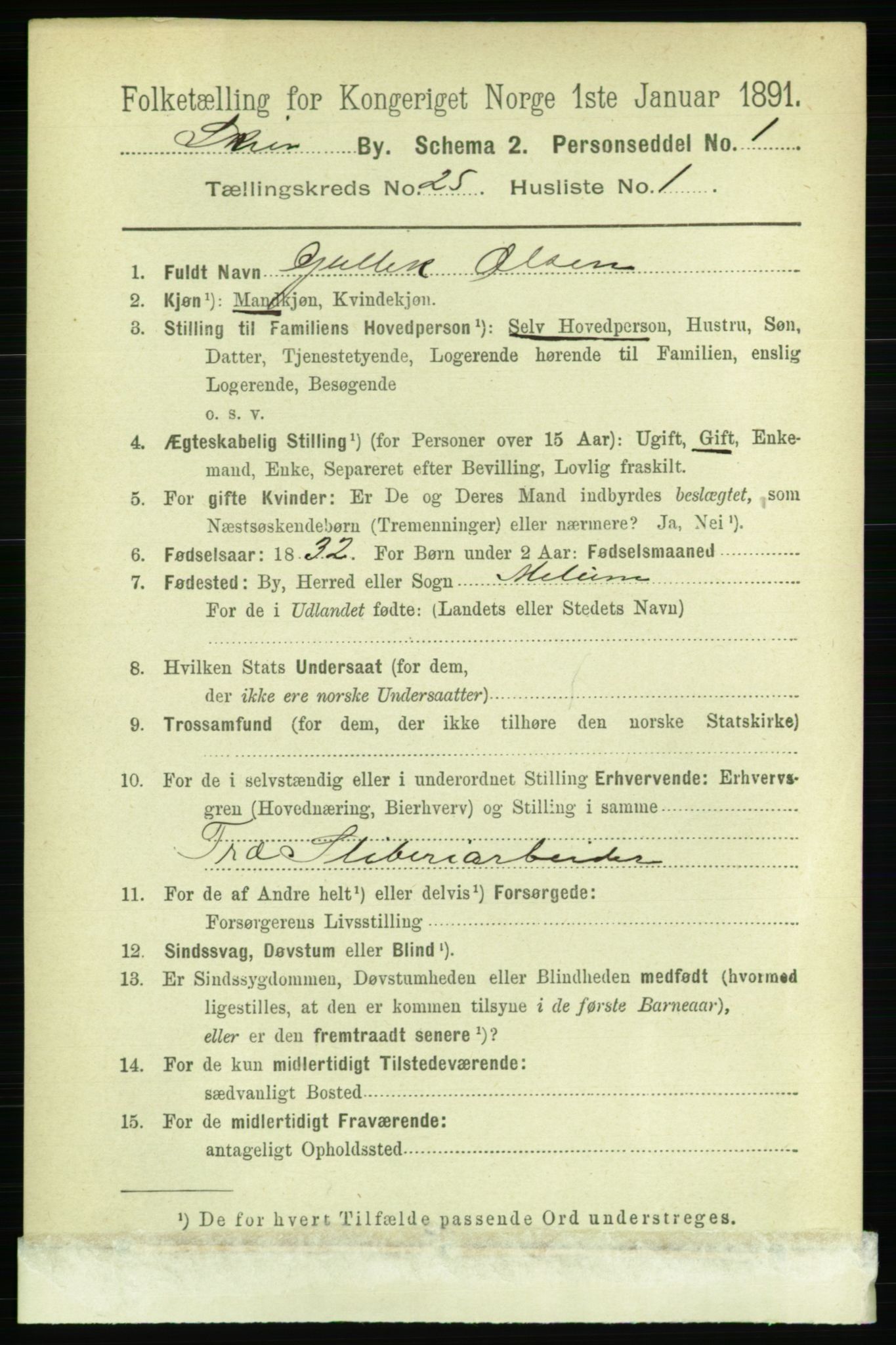 RA, 1891 census for 0806 Skien, 1891, p. 6034