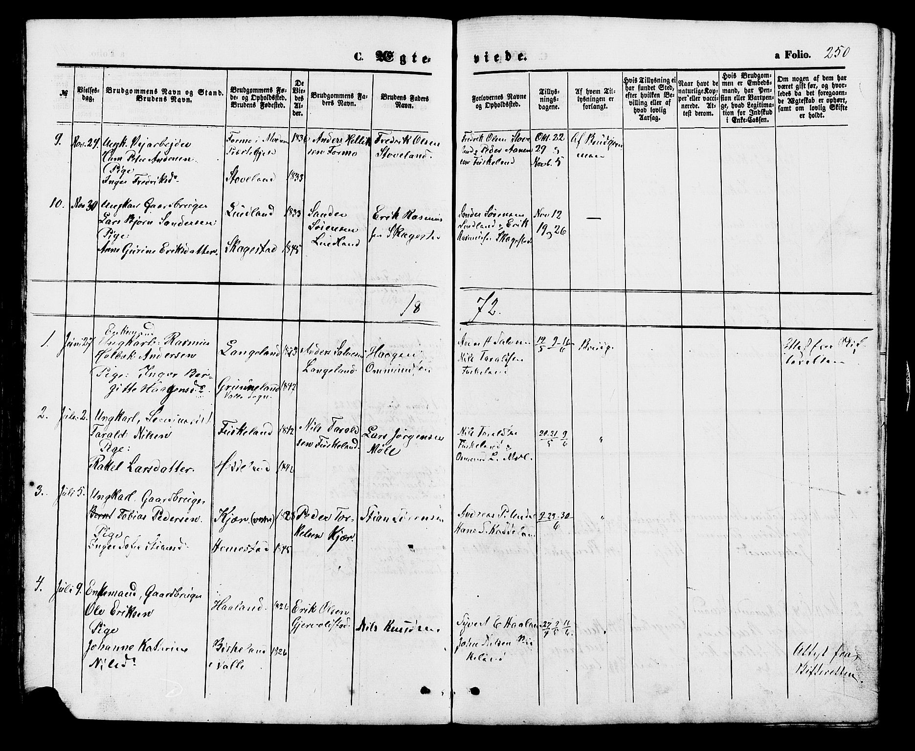 Holum sokneprestkontor, AV/SAK-1111-0022/F/Fb/Fba/L0004: Parish register (copy) no. B 4, 1867-1890, p. 250