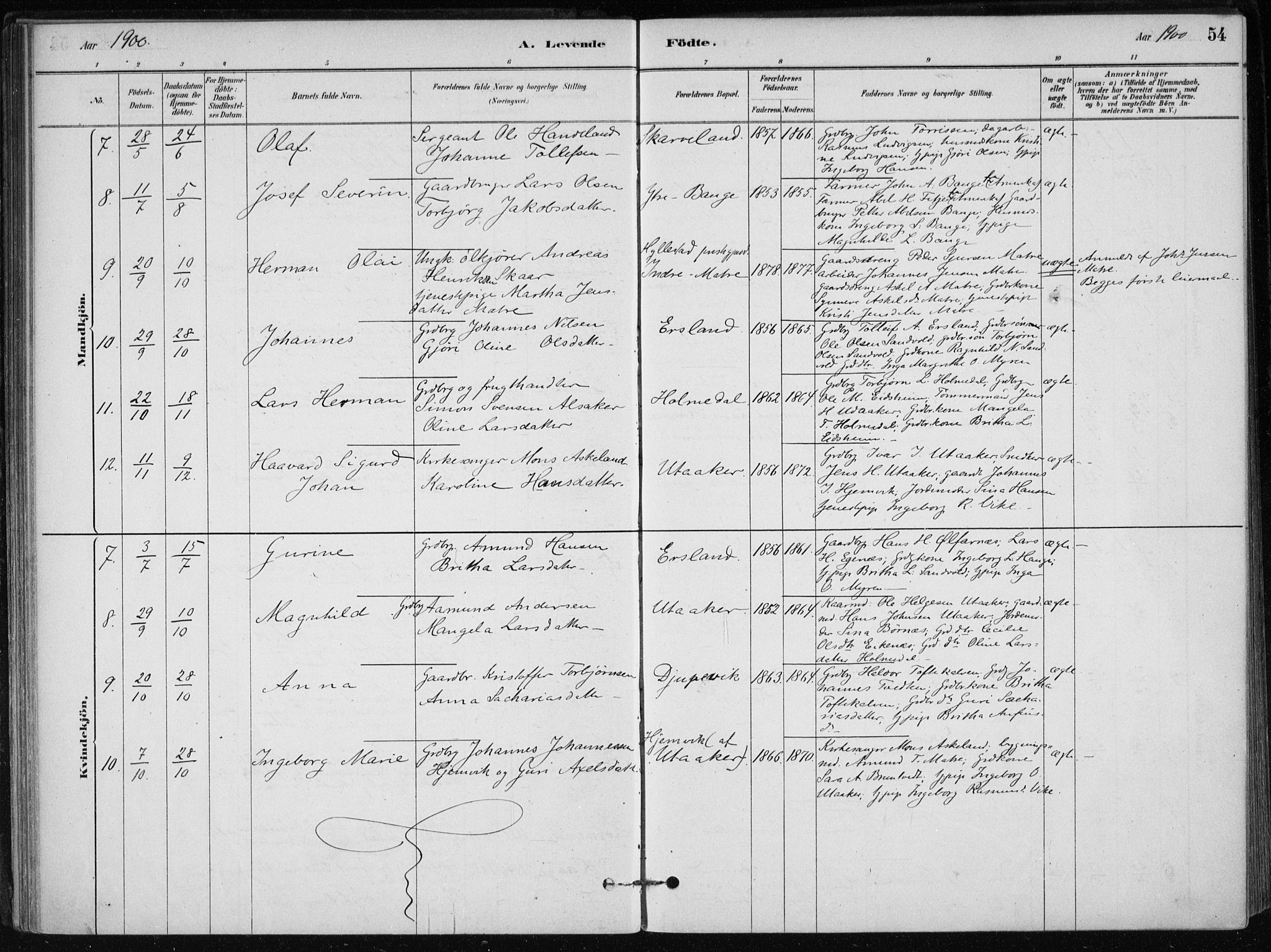 Skånevik sokneprestembete, AV/SAB-A-77801/H/Haa: Parish register (official) no. C  1, 1879-1917, p. 54