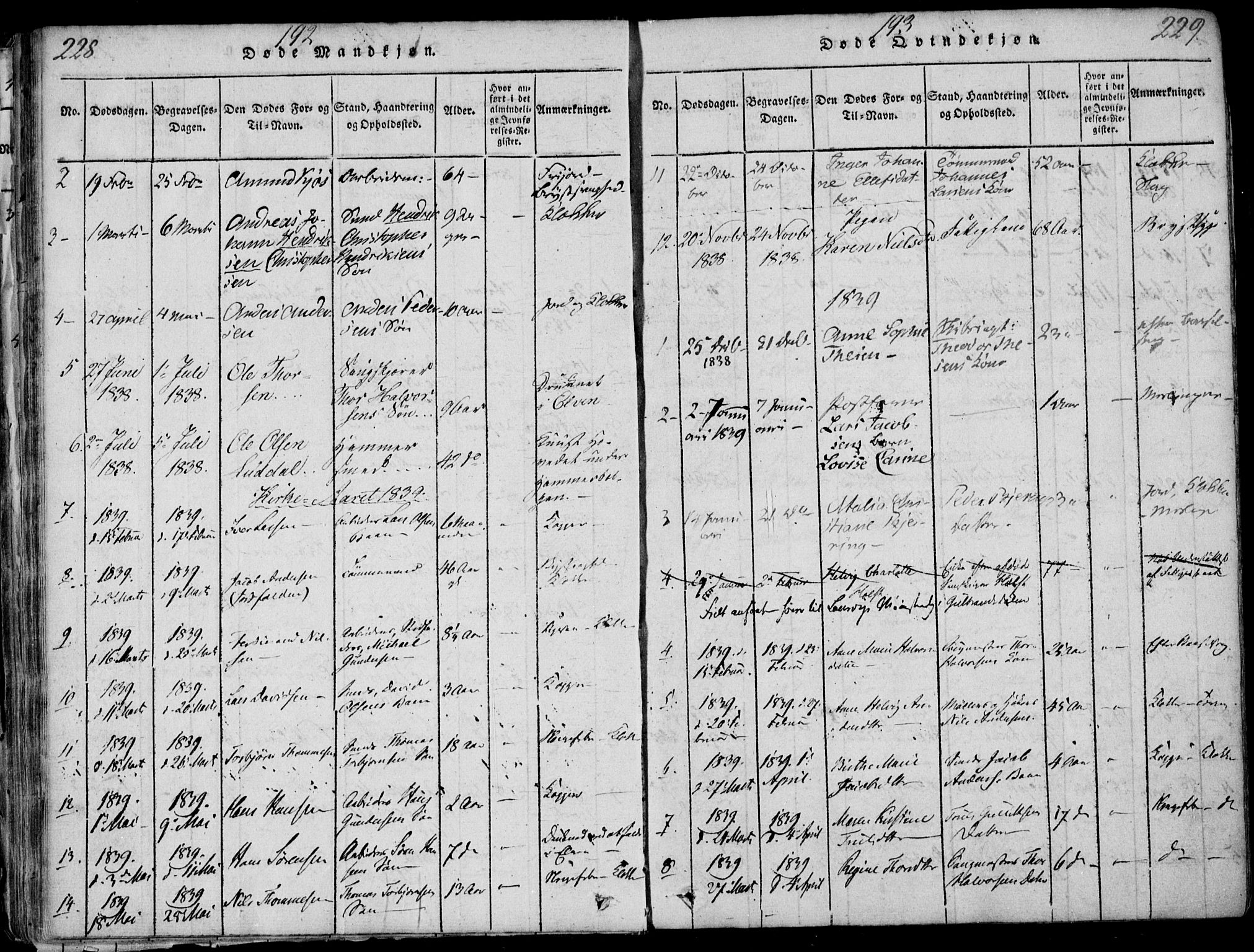 Larvik kirkebøker, AV/SAKO-A-352/F/Fb/L0002: Parish register (official) no. II 2, 1818-1842, p. 228-229