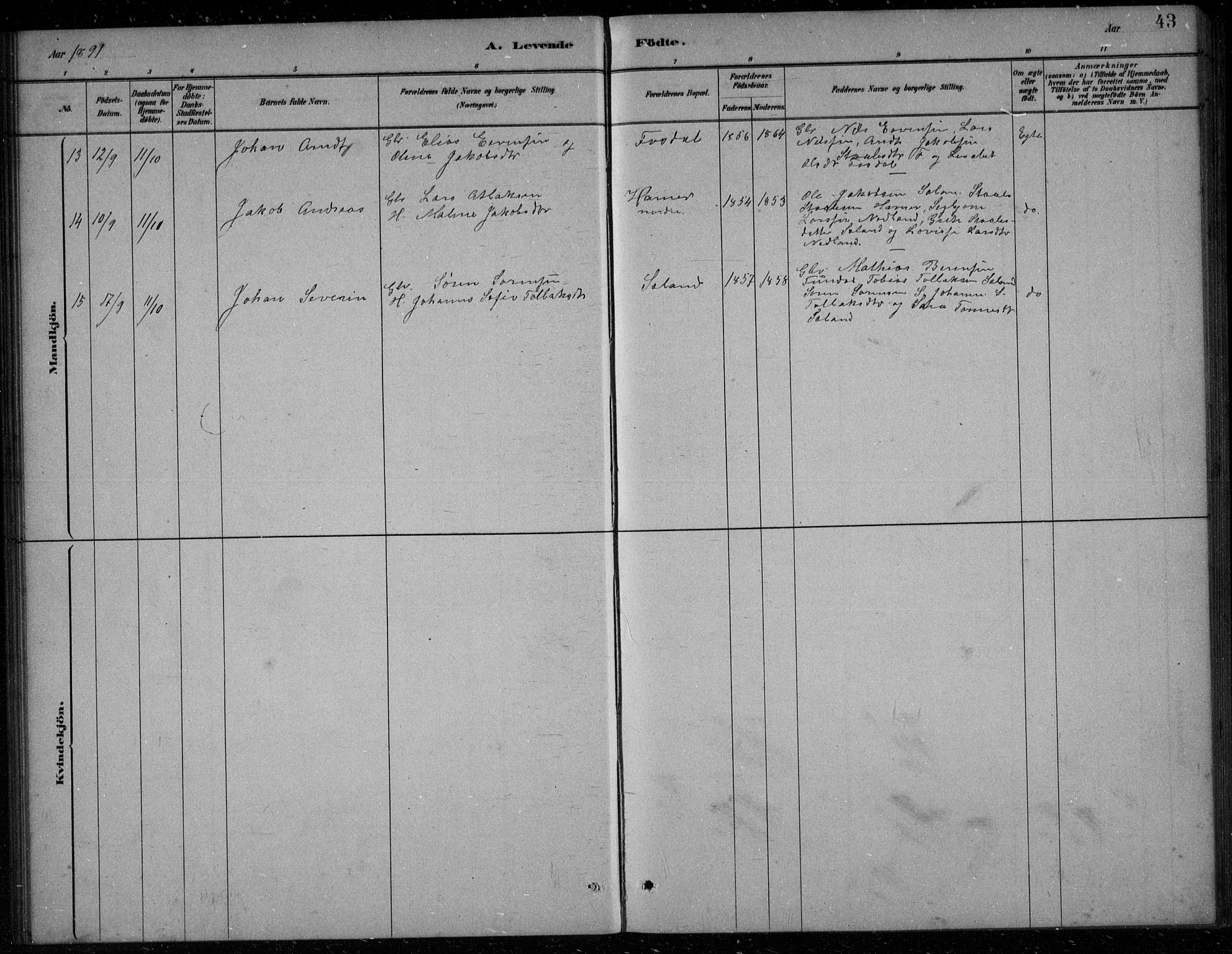 Bakke sokneprestkontor, AV/SAK-1111-0002/F/Fb/Fbb/L0003: Parish register (copy) no. B 3, 1878-1896, p. 43