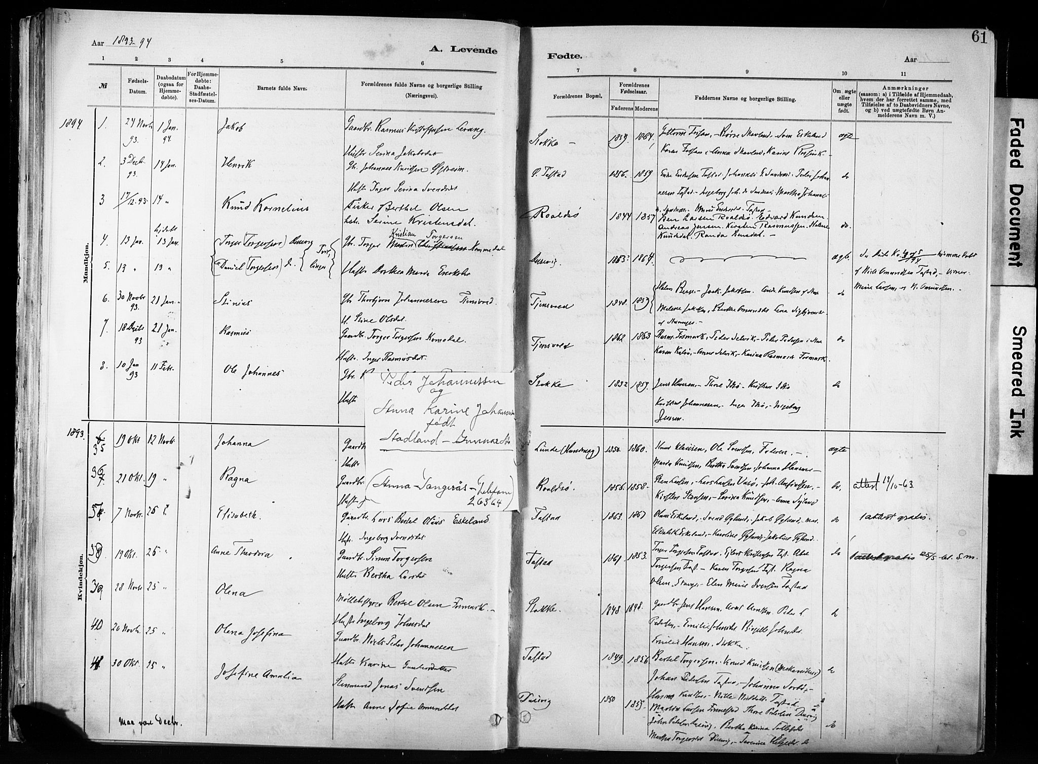 Hetland sokneprestkontor, SAST/A-101826/30/30BA/L0011: Parish register (official) no. A 11, 1884-1911, p. 61