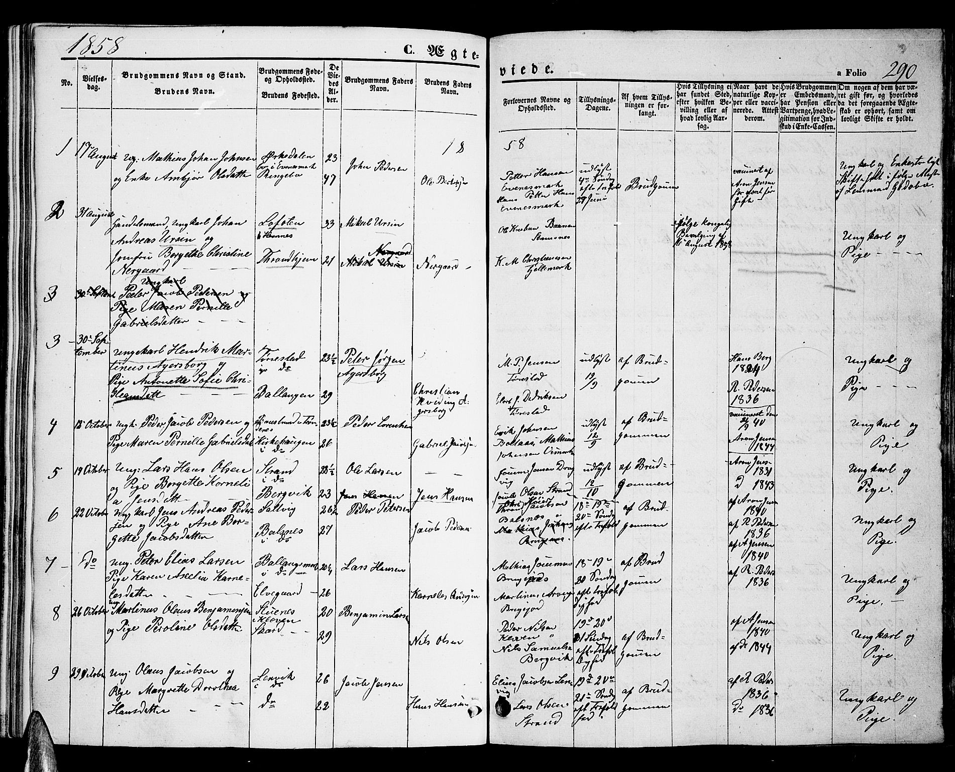 Ministerialprotokoller, klokkerbøker og fødselsregistre - Nordland, AV/SAT-A-1459/863/L0912: Parish register (copy) no. 863C02, 1858-1876, p. 290