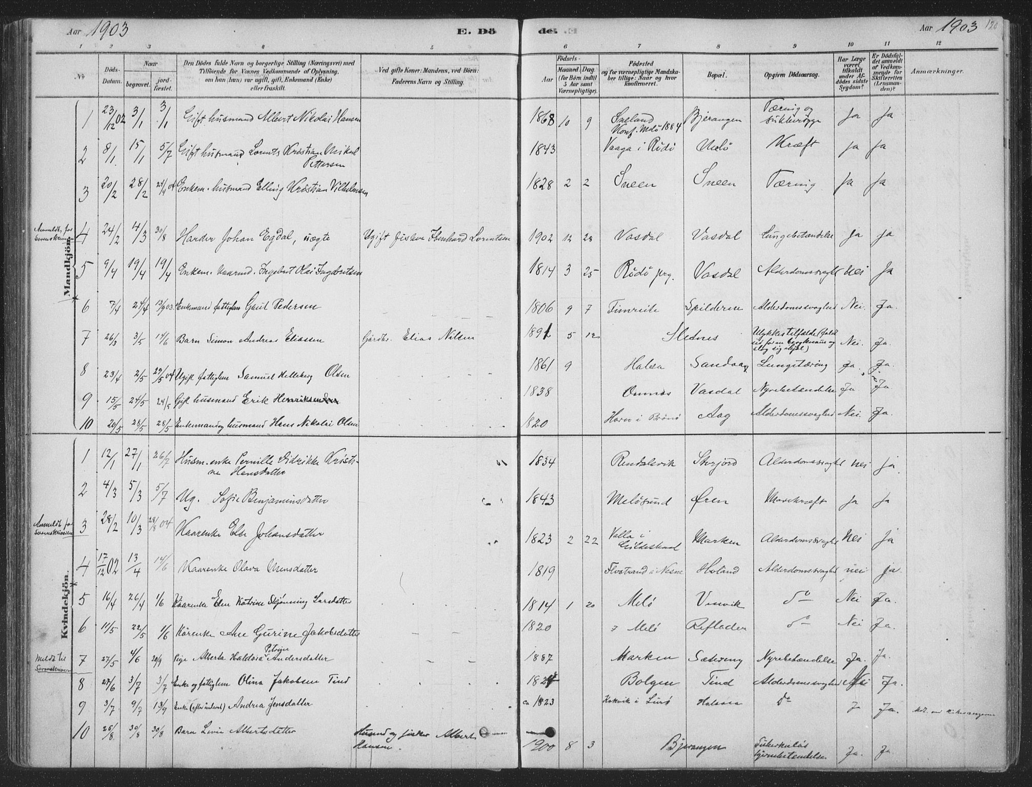 Ministerialprotokoller, klokkerbøker og fødselsregistre - Nordland, SAT/A-1459/843/L0627: Parish register (official) no. 843A02, 1878-1908, p. 120