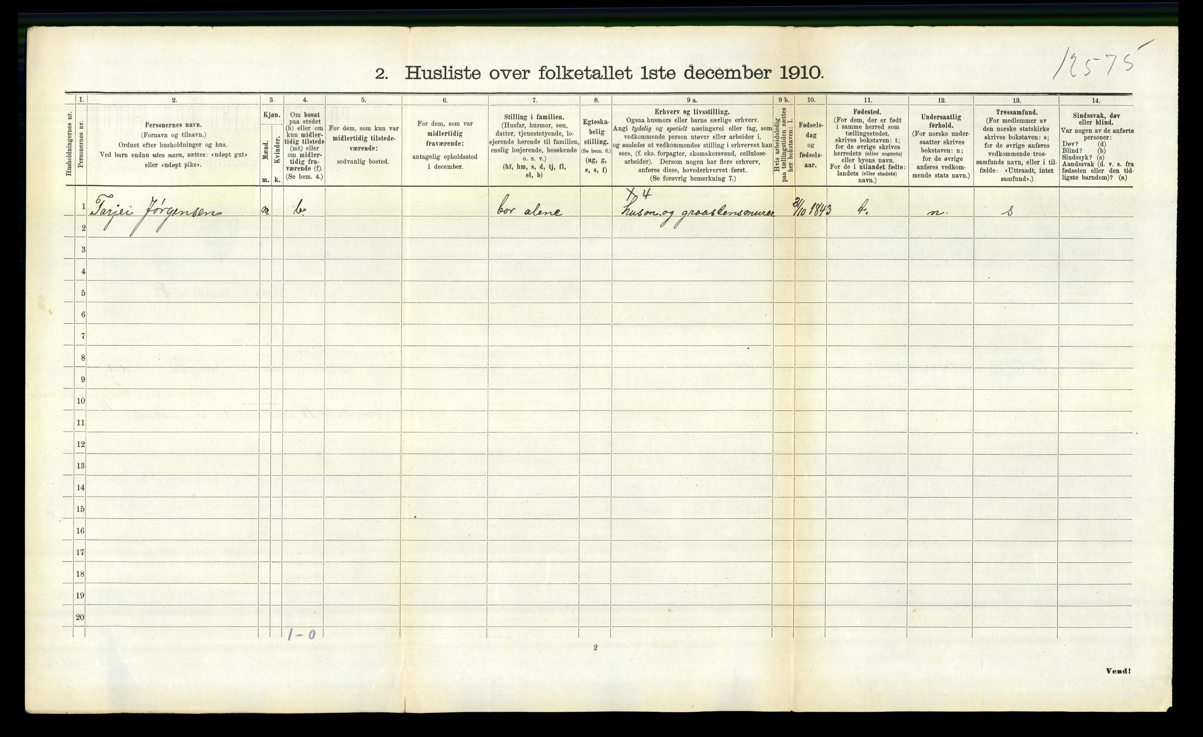 RA, 1910 census for Nissedal, 1910, p. 213