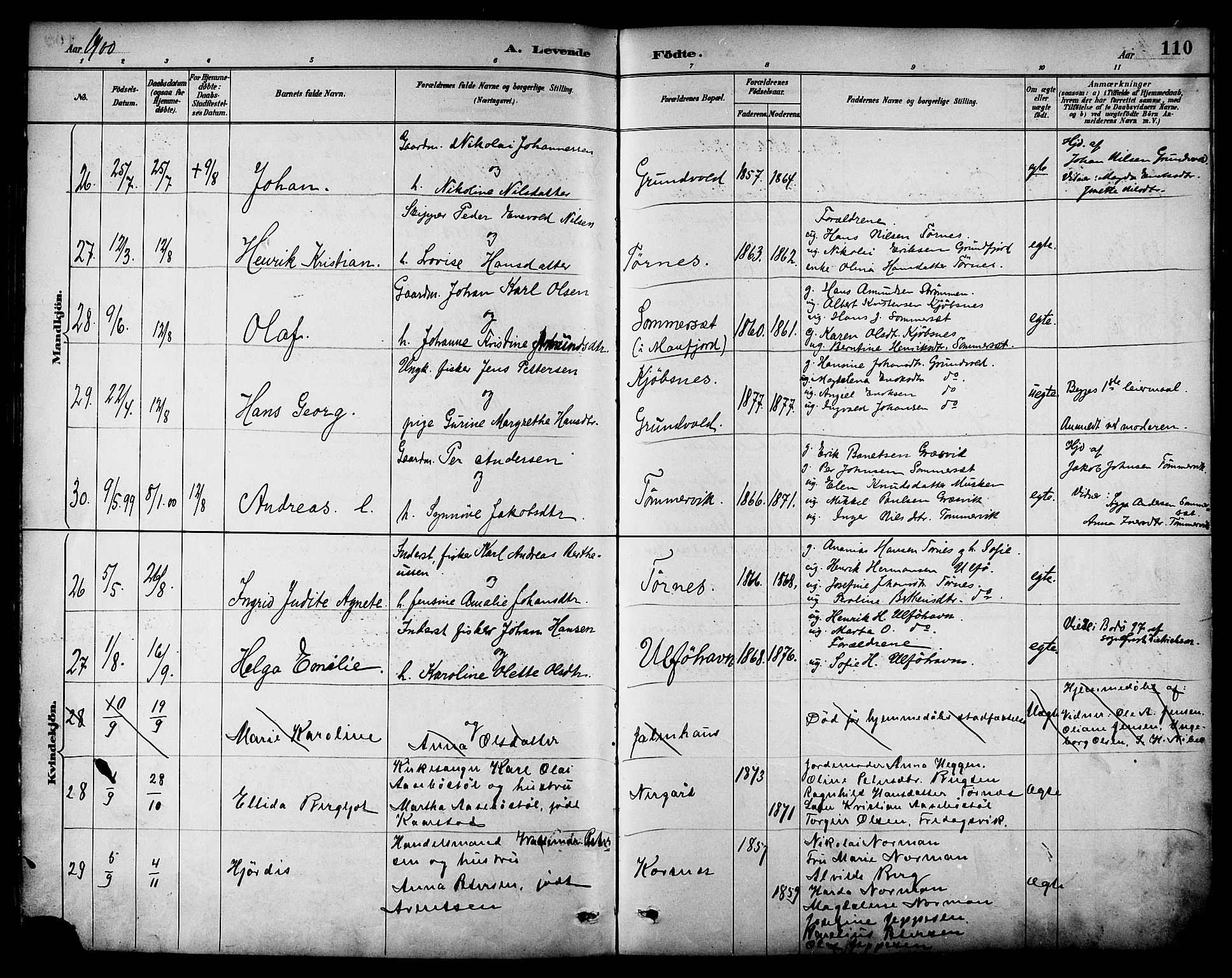 Ministerialprotokoller, klokkerbøker og fødselsregistre - Nordland, AV/SAT-A-1459/861/L0869: Parish register (official) no. 861A04, 1889-1903, p. 110