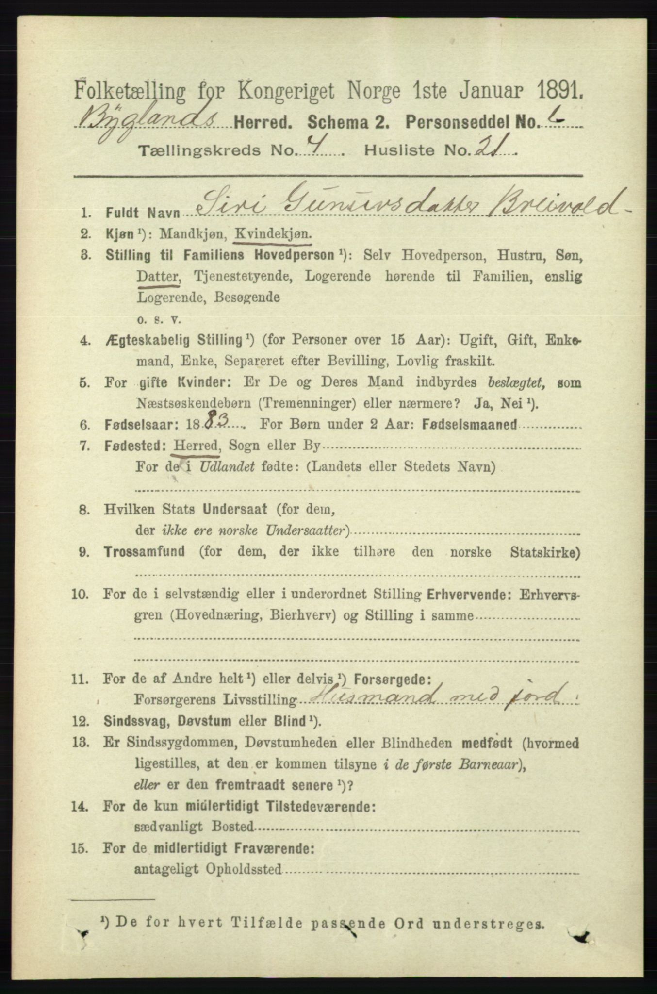 RA, 1891 census for 0938 Bygland, 1891, p. 994