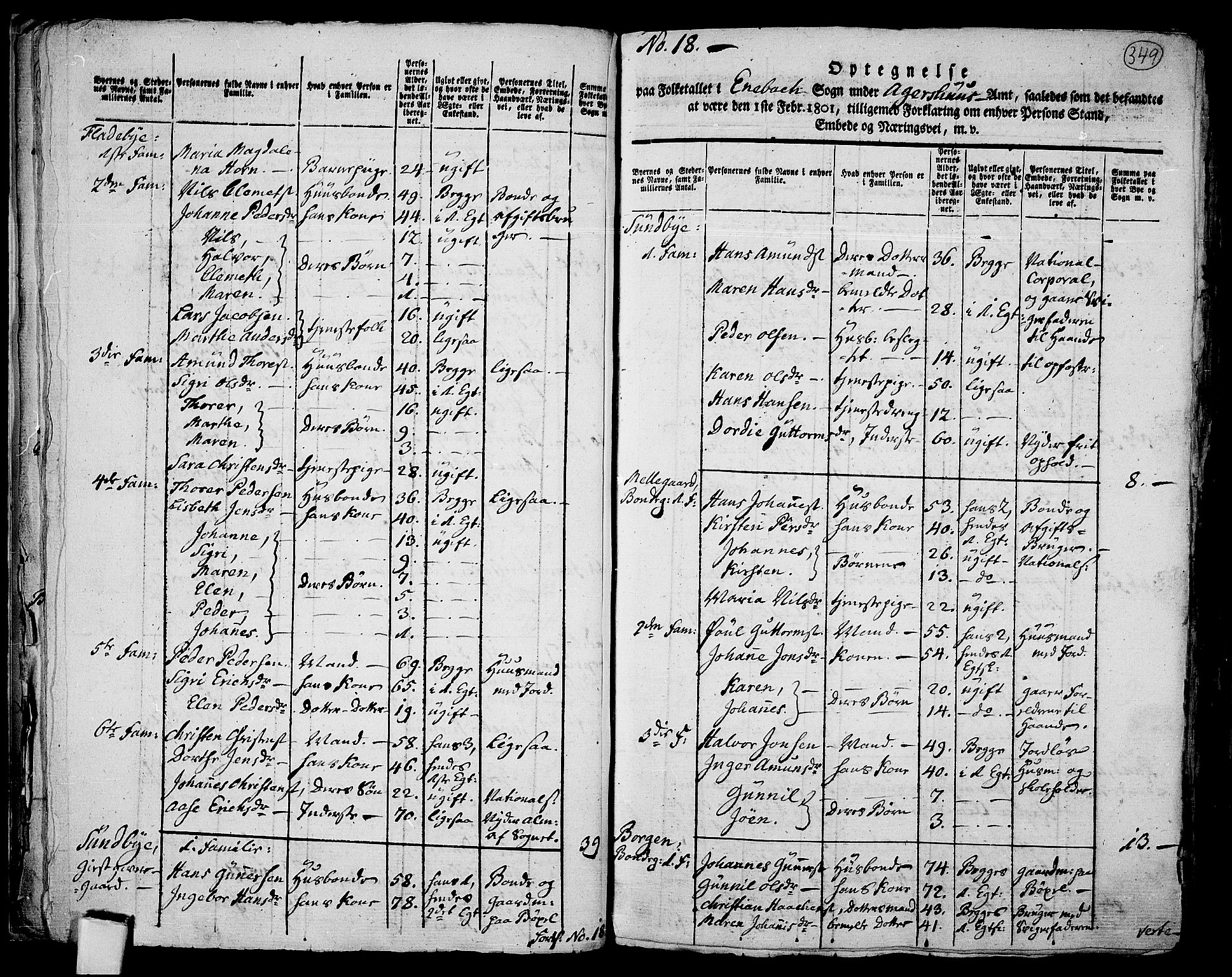 RA, 1801 census for 0229P Enebakk, 1801, p. 348b-349a
