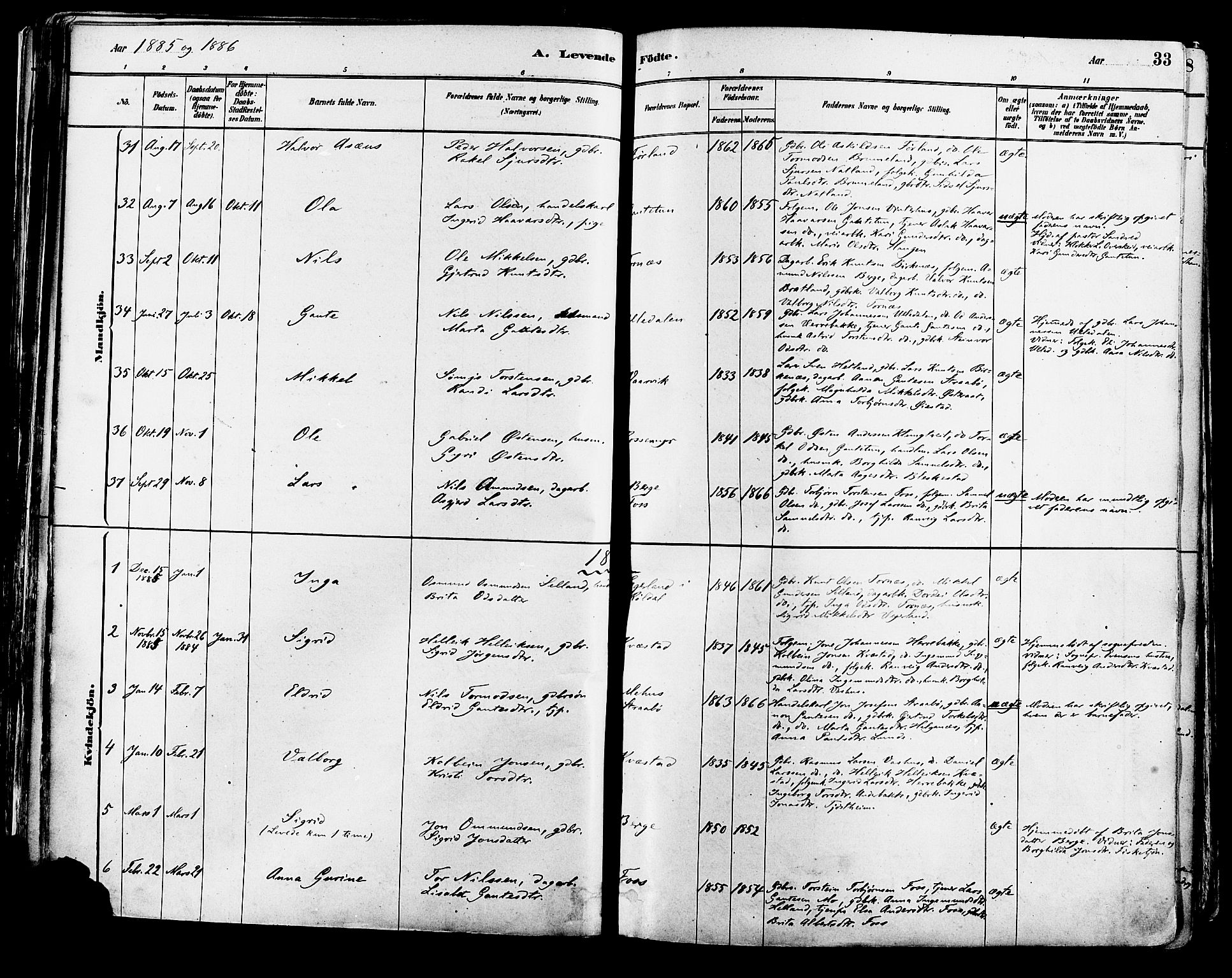 Suldal sokneprestkontor, AV/SAST-A-101845/01/IV/L0011: Parish register (official) no. A 11, 1878-1900, p. 33