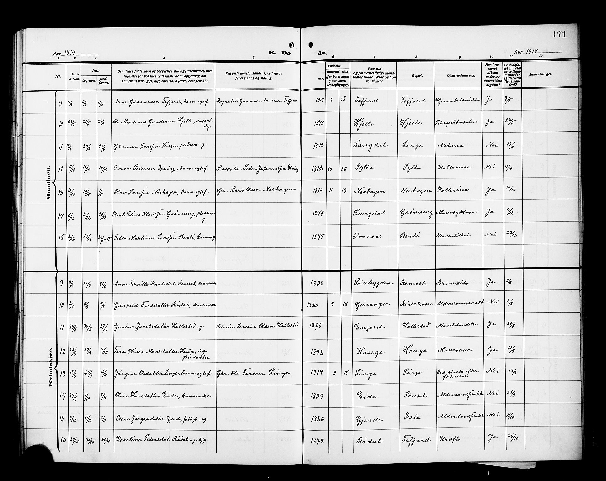 Ministerialprotokoller, klokkerbøker og fødselsregistre - Møre og Romsdal, AV/SAT-A-1454/519/L0265: Parish register (copy) no. 519C06, 1911-1921, p. 171