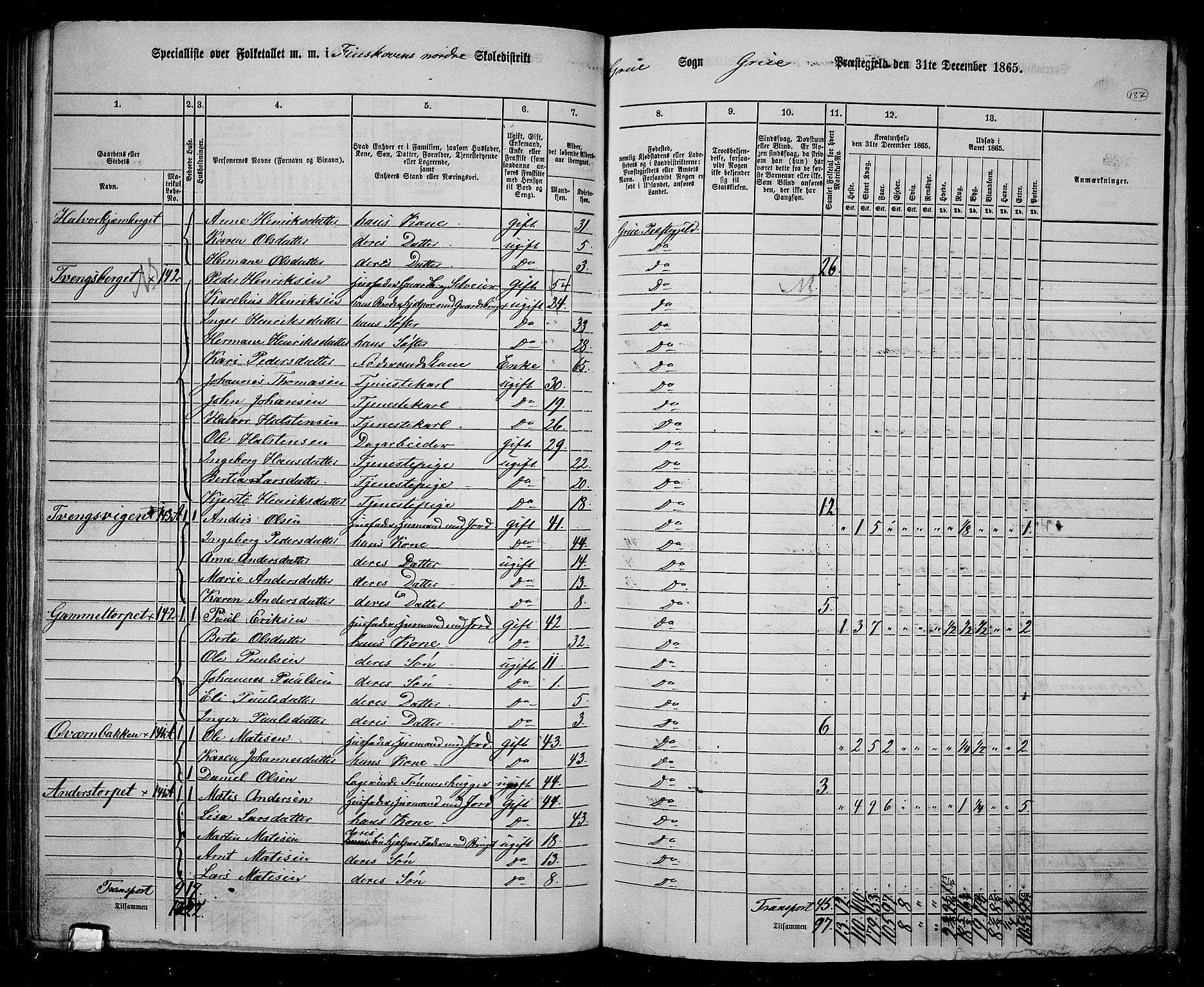 RA, 1865 census for Grue, 1865, p. 163