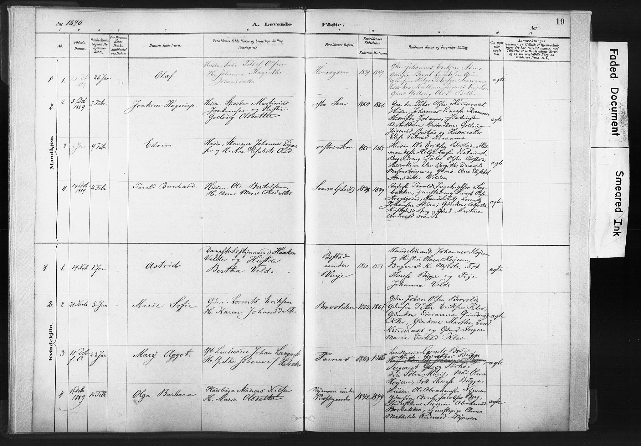 Ministerialprotokoller, klokkerbøker og fødselsregistre - Nord-Trøndelag, SAT/A-1458/749/L0474: Parish register (official) no. 749A08, 1887-1903, p. 19