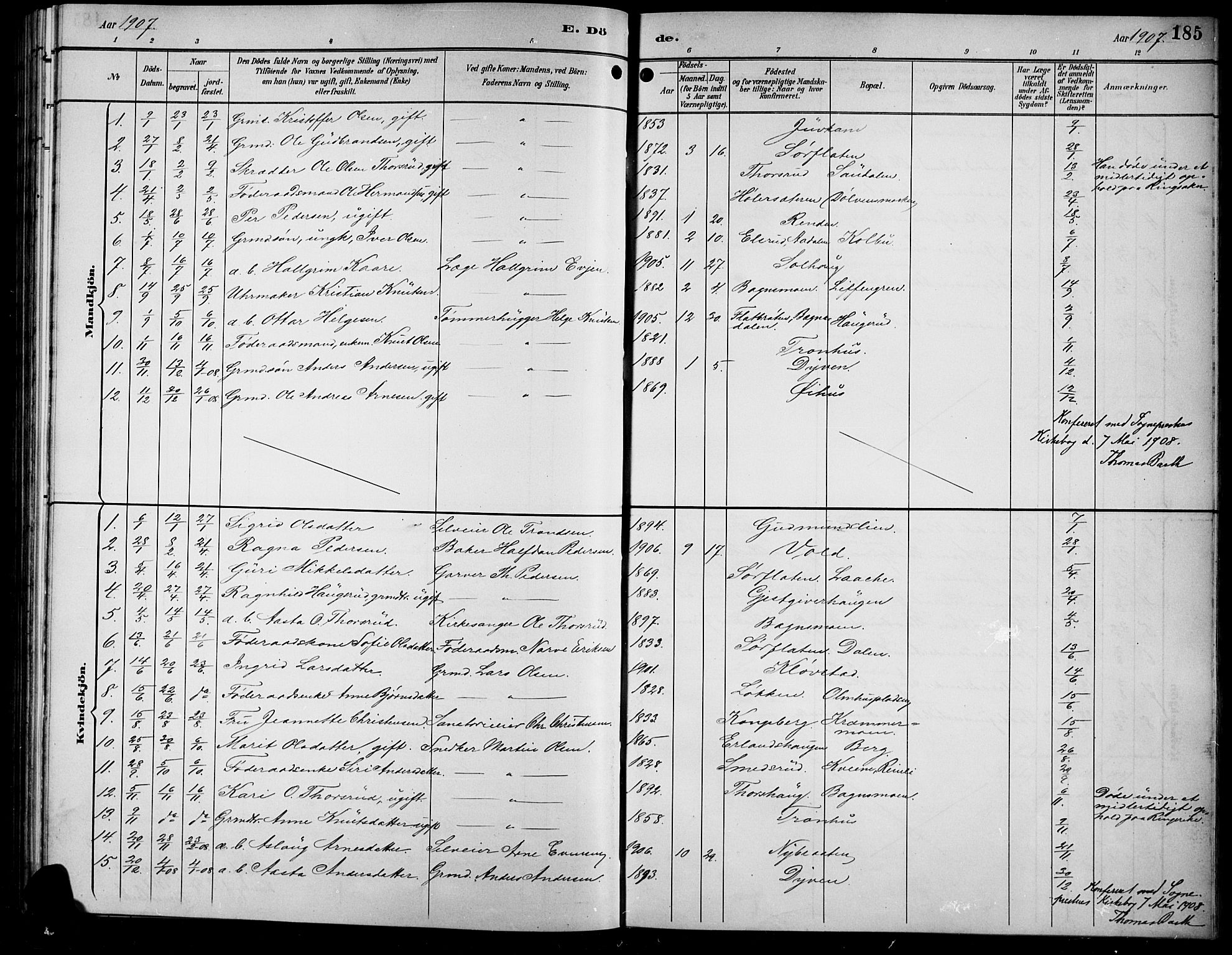 Sør-Aurdal prestekontor, SAH/PREST-128/H/Ha/Hab/L0009: Parish register (copy) no. 9, 1894-1924, p. 185