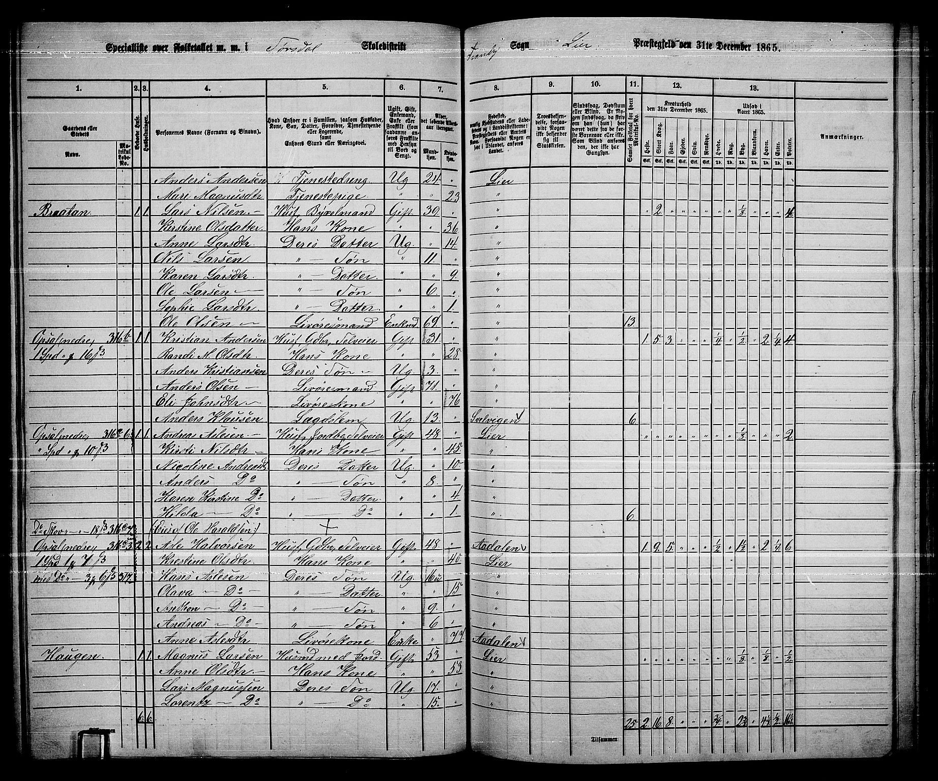 RA, 1865 census for Lier, 1865, p. 172