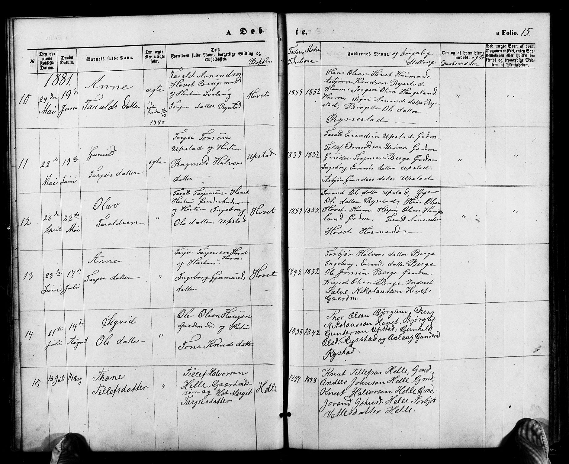 Valle sokneprestkontor, SAK/1111-0044/F/Fb/Fbb/L0002: Parish register (copy) no. B 2, 1875-1921, p. 15