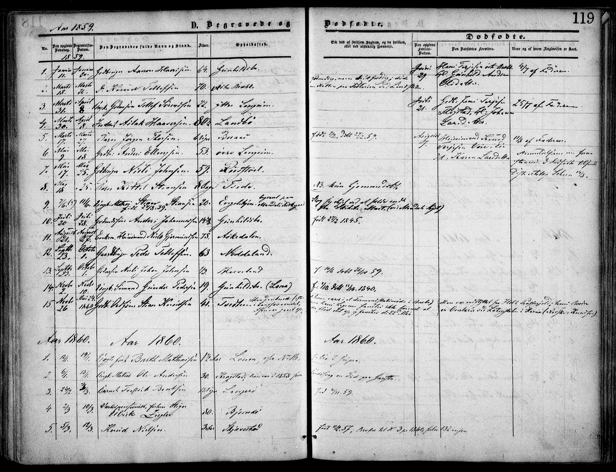 Austre Moland sokneprestkontor, SAK/1111-0001/F/Fa/Faa/L0008: Parish register (official) no. A 8, 1858-1868, p. 119