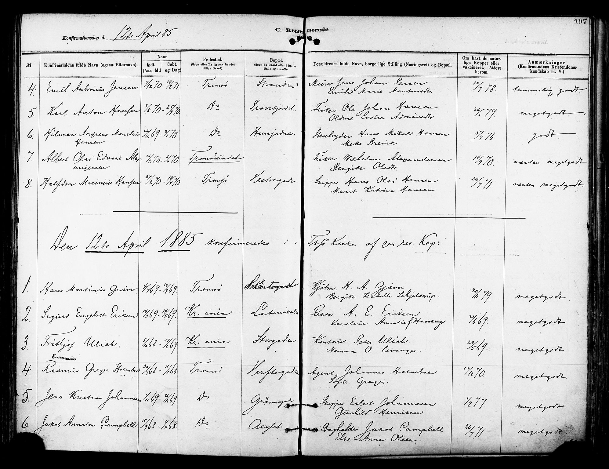 Tromsø sokneprestkontor/stiftsprosti/domprosti, SATØ/S-1343/G/Ga/L0014kirke: Parish register (official) no. 14, 1878-1888, p. 307