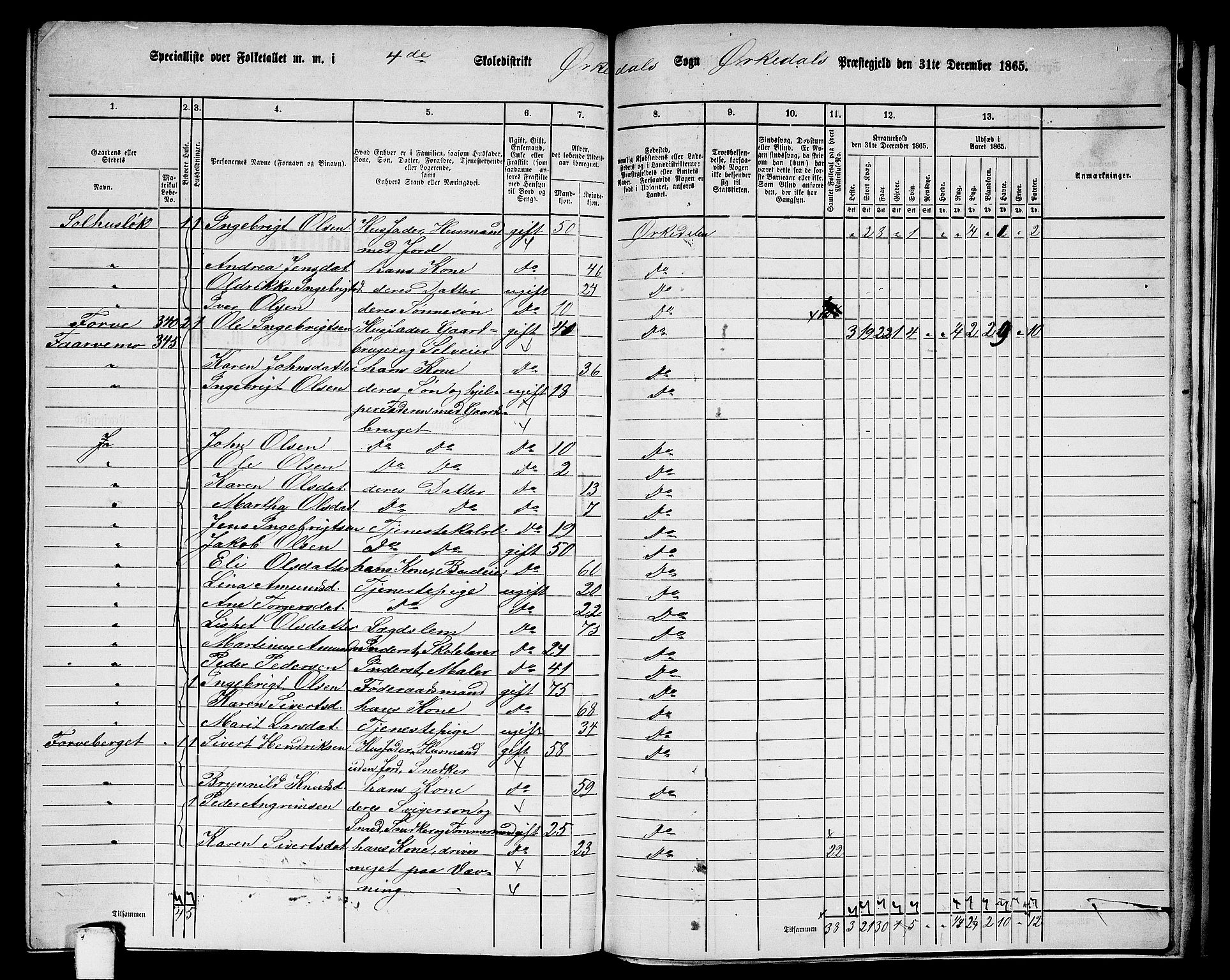 RA, 1865 census for Orkdal, 1865, p. 248