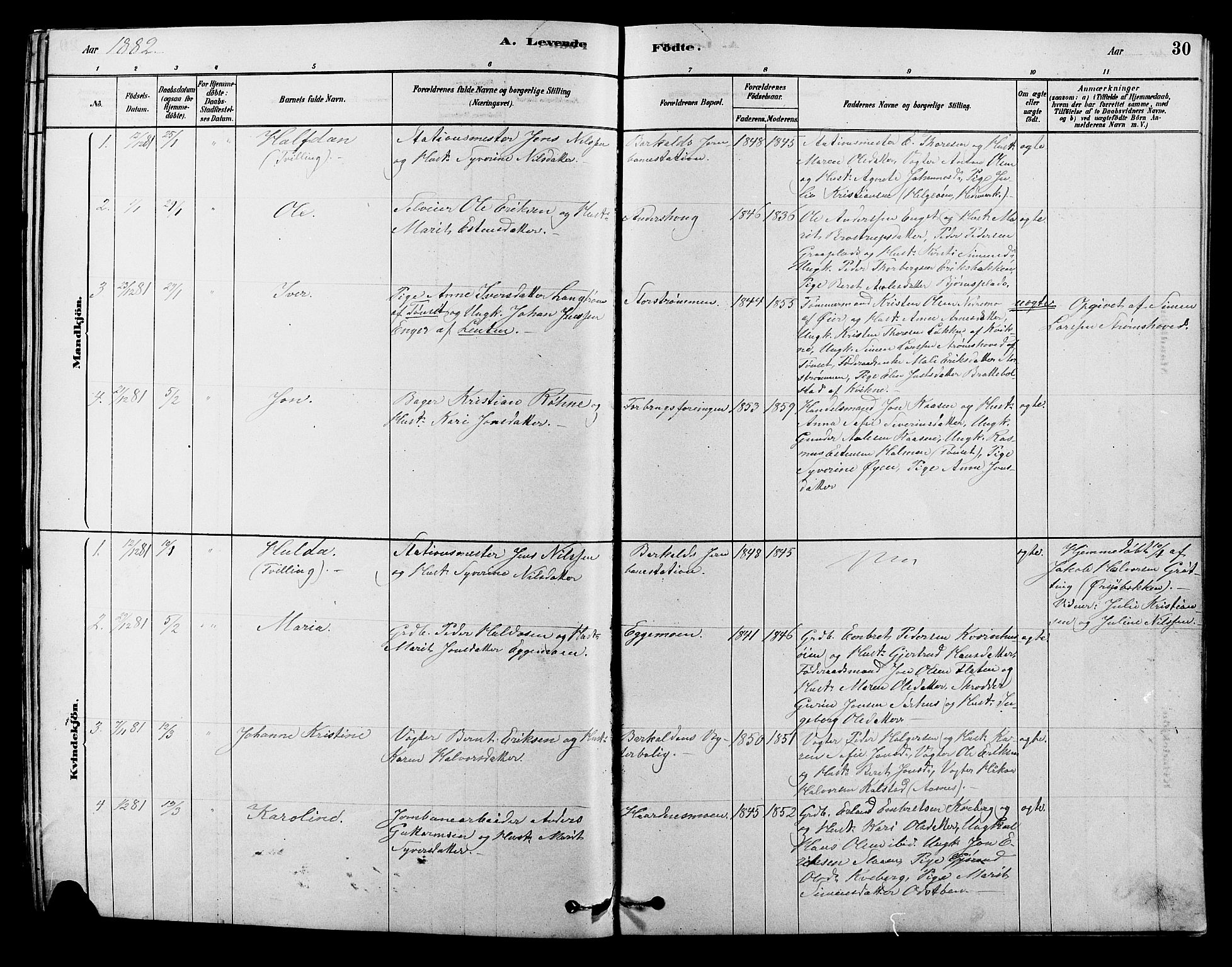 Alvdal prestekontor, SAH/PREST-060/H/Ha/Hab/L0003: Parish register (copy) no. 3, 1878-1907, p. 30