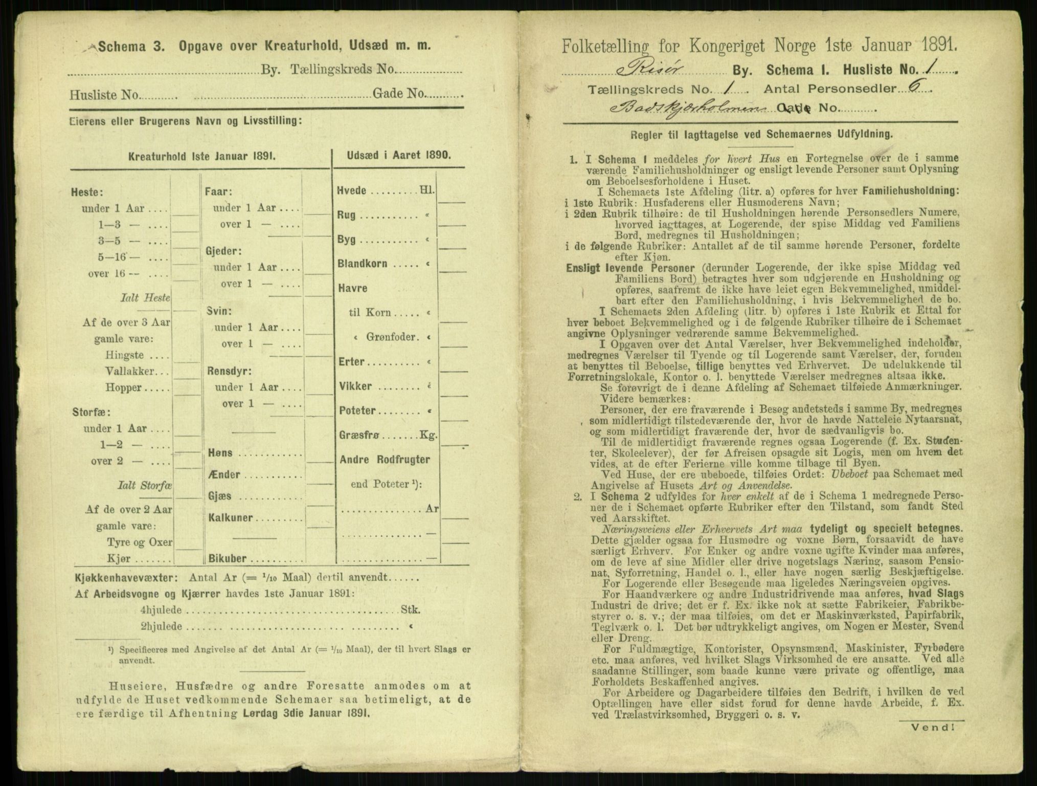 RA, 1891 census for 0901 Risør, 1891, p. 23