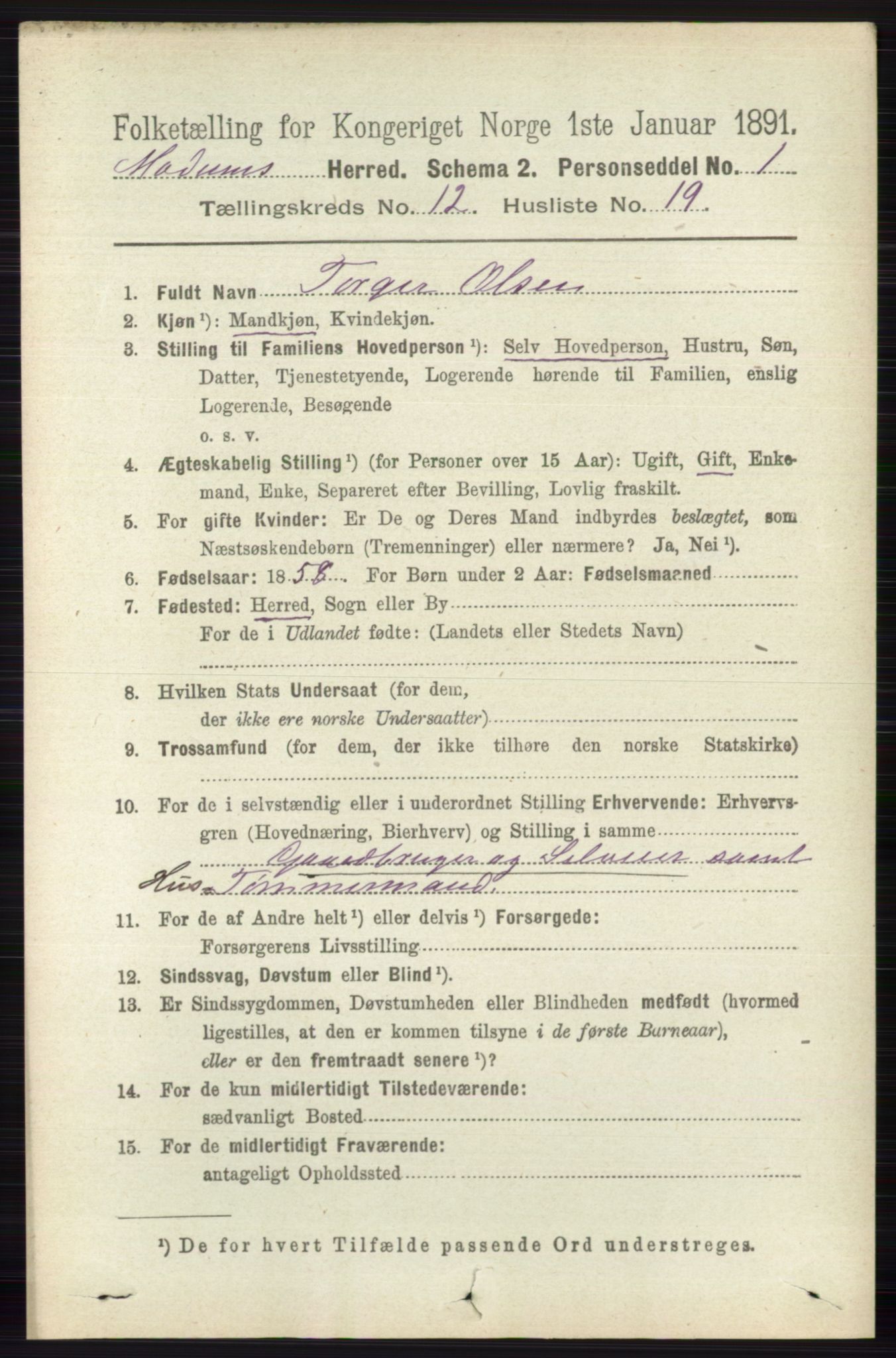 RA, 1891 census for 0623 Modum, 1891, p. 4555