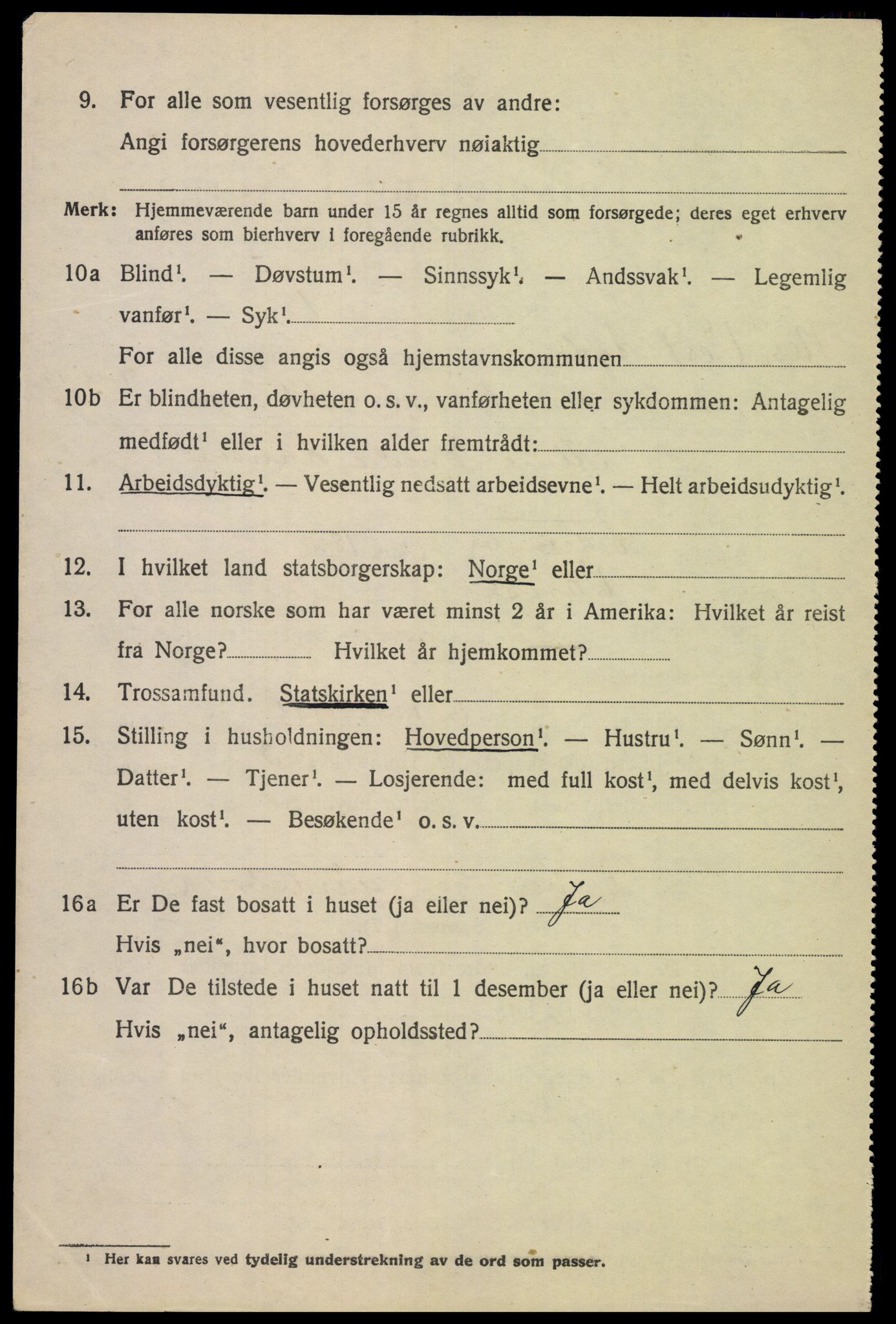 SAK, 1920 census for Nes (V-A), 1920, p. 1039