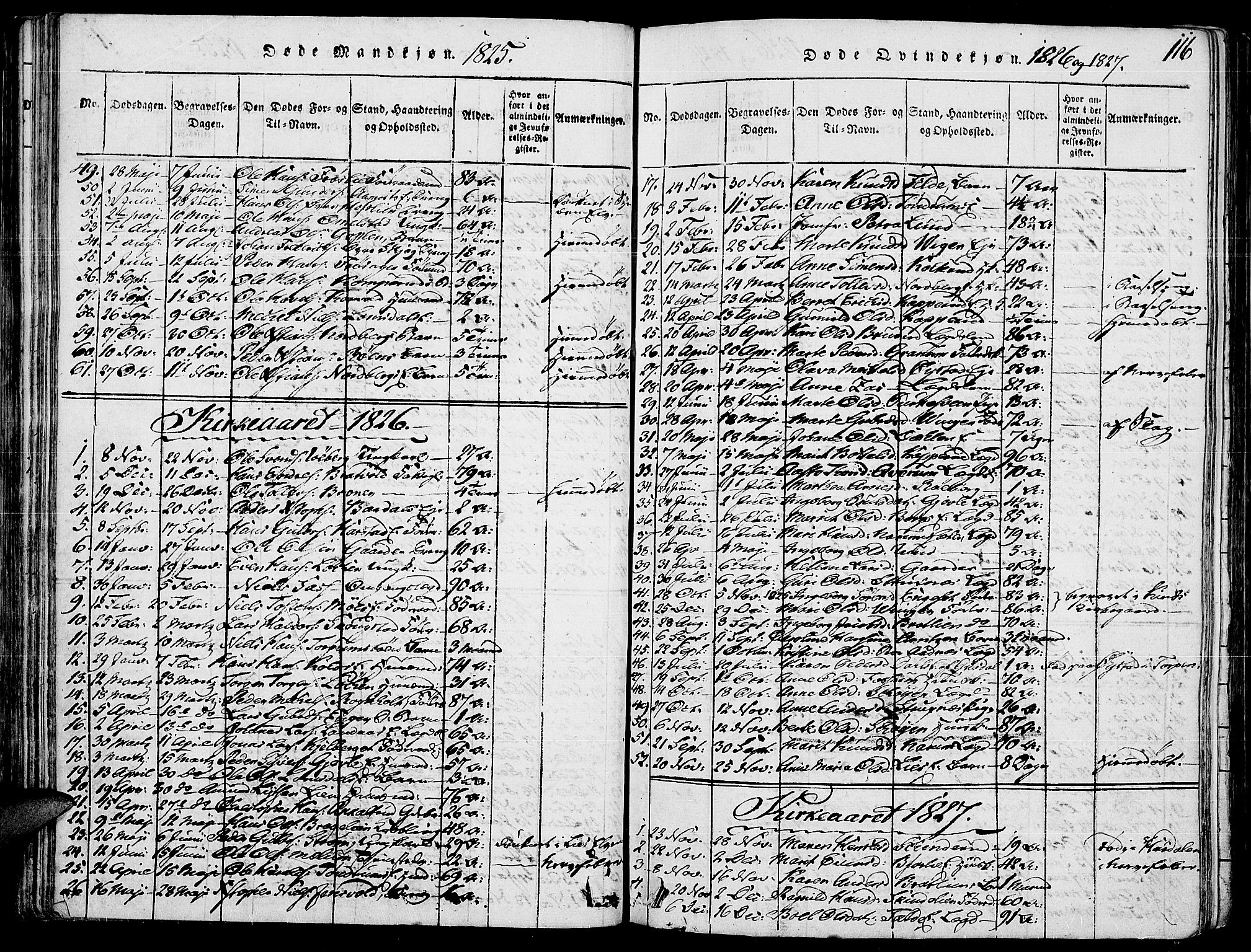 Land prestekontor, SAH/PREST-120/H/Ha/Haa/L0007: Parish register (official) no. 7, 1814-1830, p. 116
