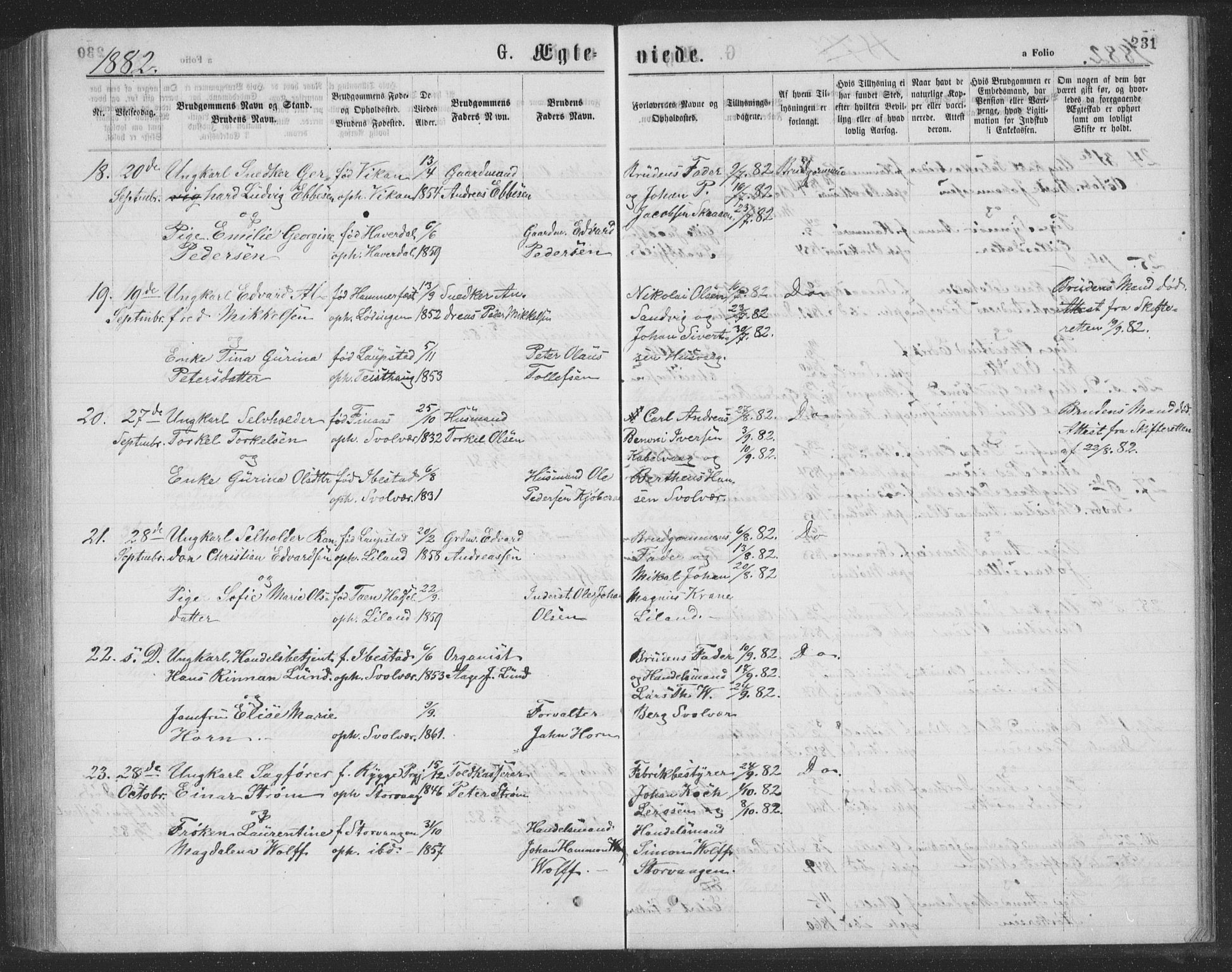 Ministerialprotokoller, klokkerbøker og fødselsregistre - Nordland, AV/SAT-A-1459/874/L1075: Parish register (copy) no. 874C04, 1876-1883, p. 231