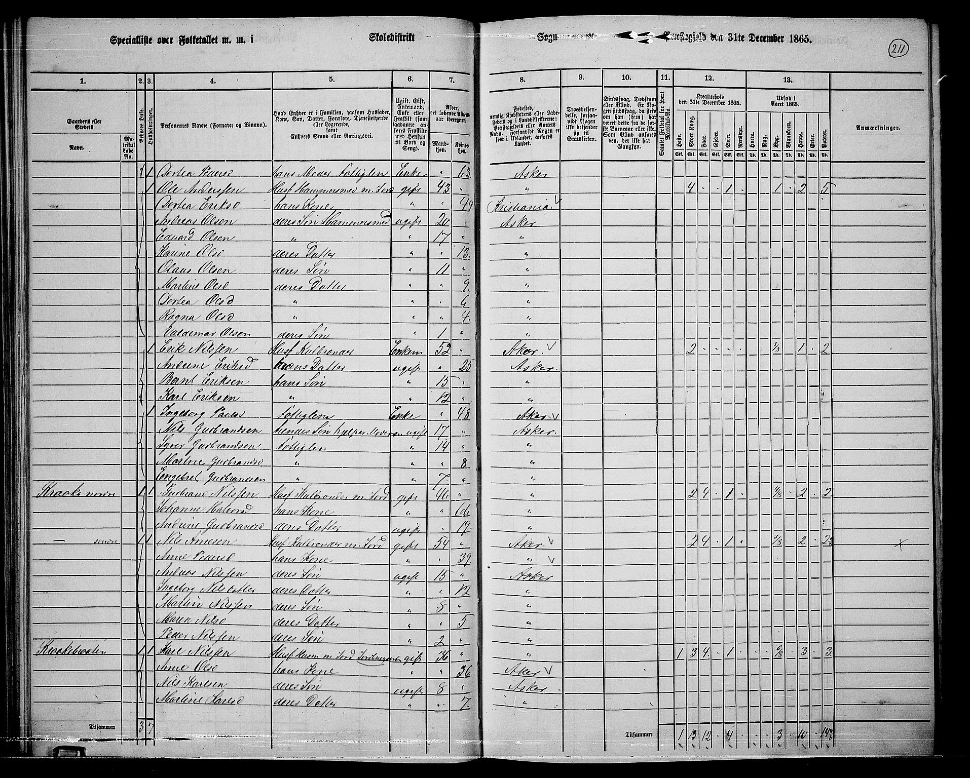 RA, 1865 census for Asker, 1865, p. 203