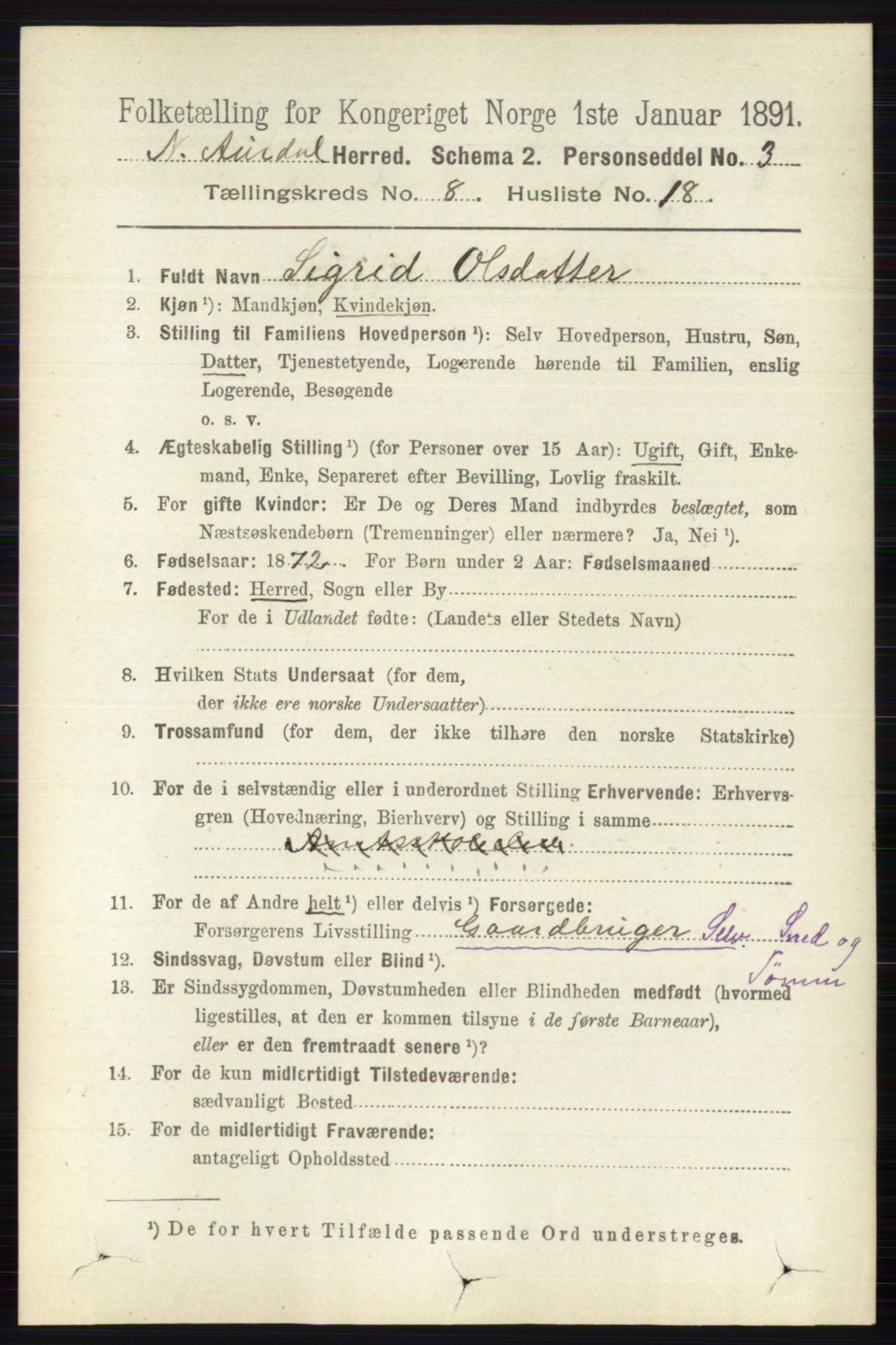 RA, 1891 census for 0542 Nord-Aurdal, 1891, p. 2908